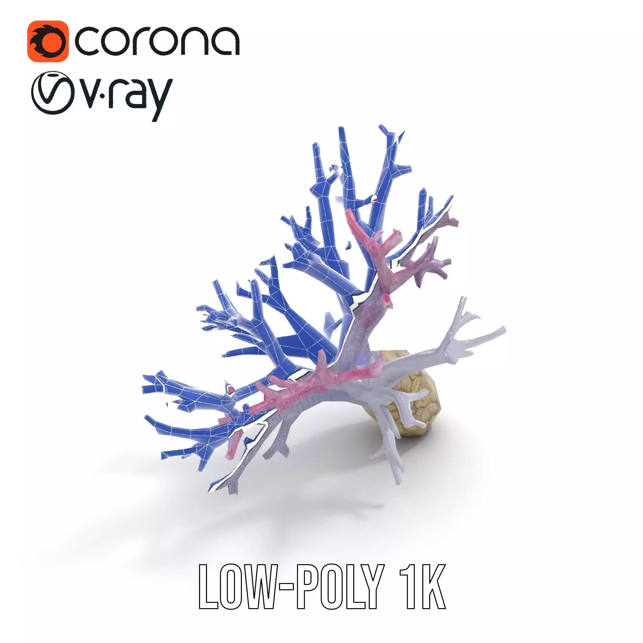 Pink Coral Growth model pack Low-poly 3D model_19