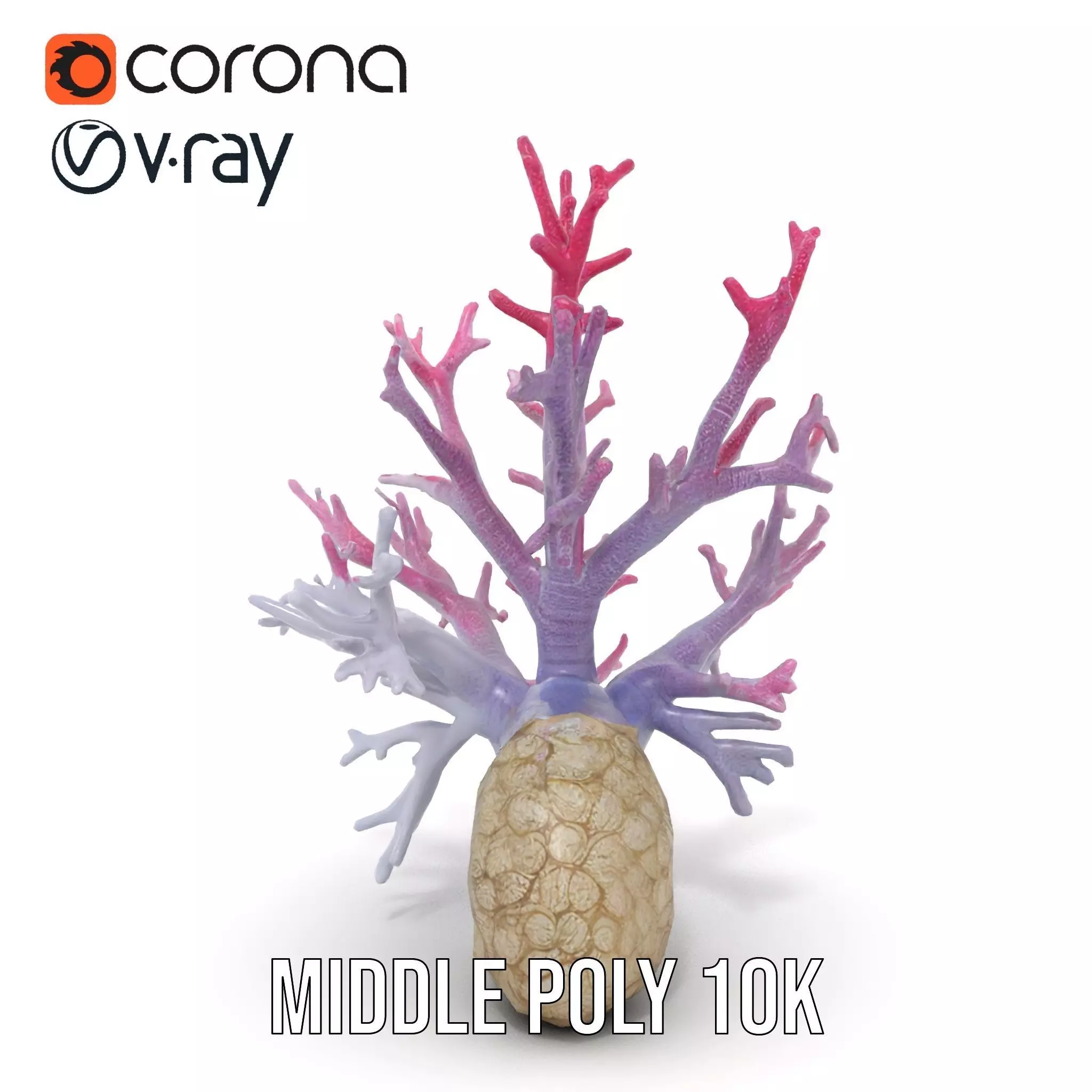 Pink Coral Growth model pack Low-poly 3D model_13