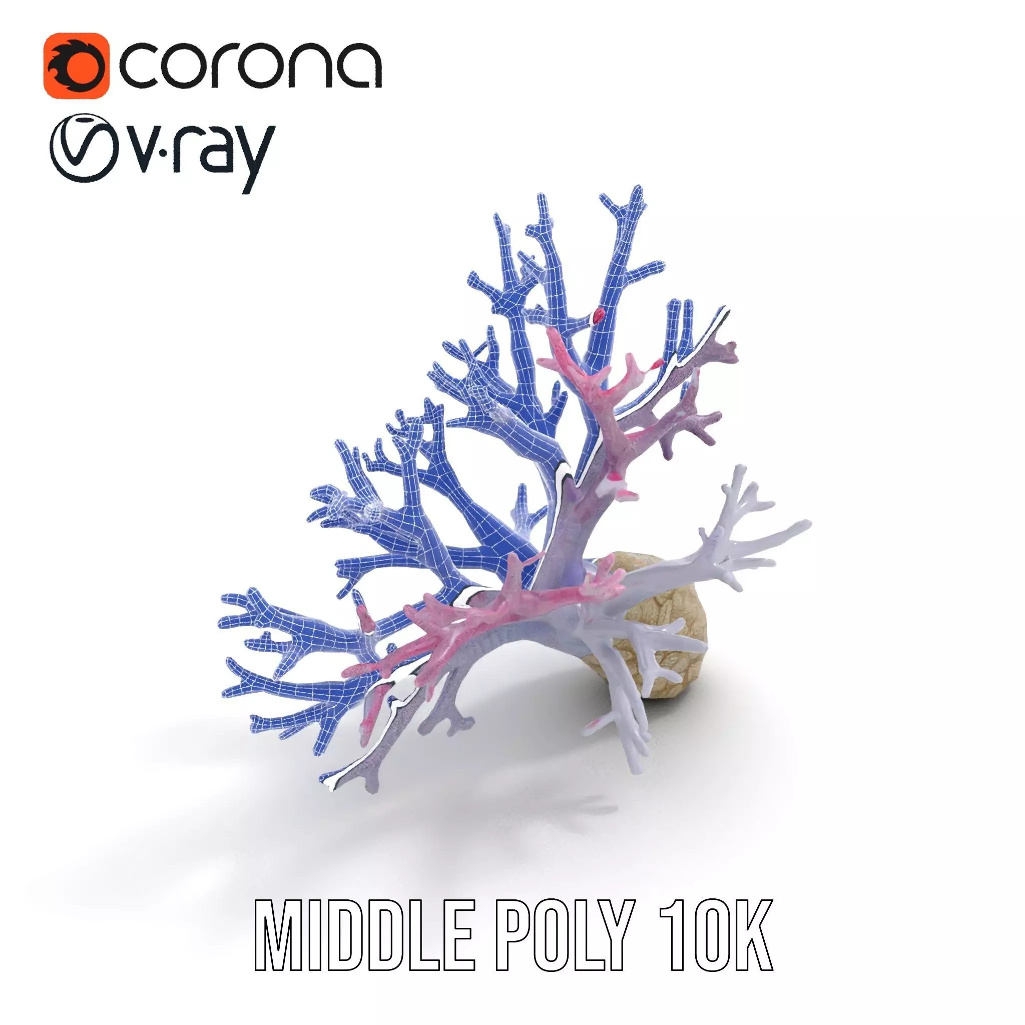 Pink Coral Growth model pack Low-poly 3D model_21