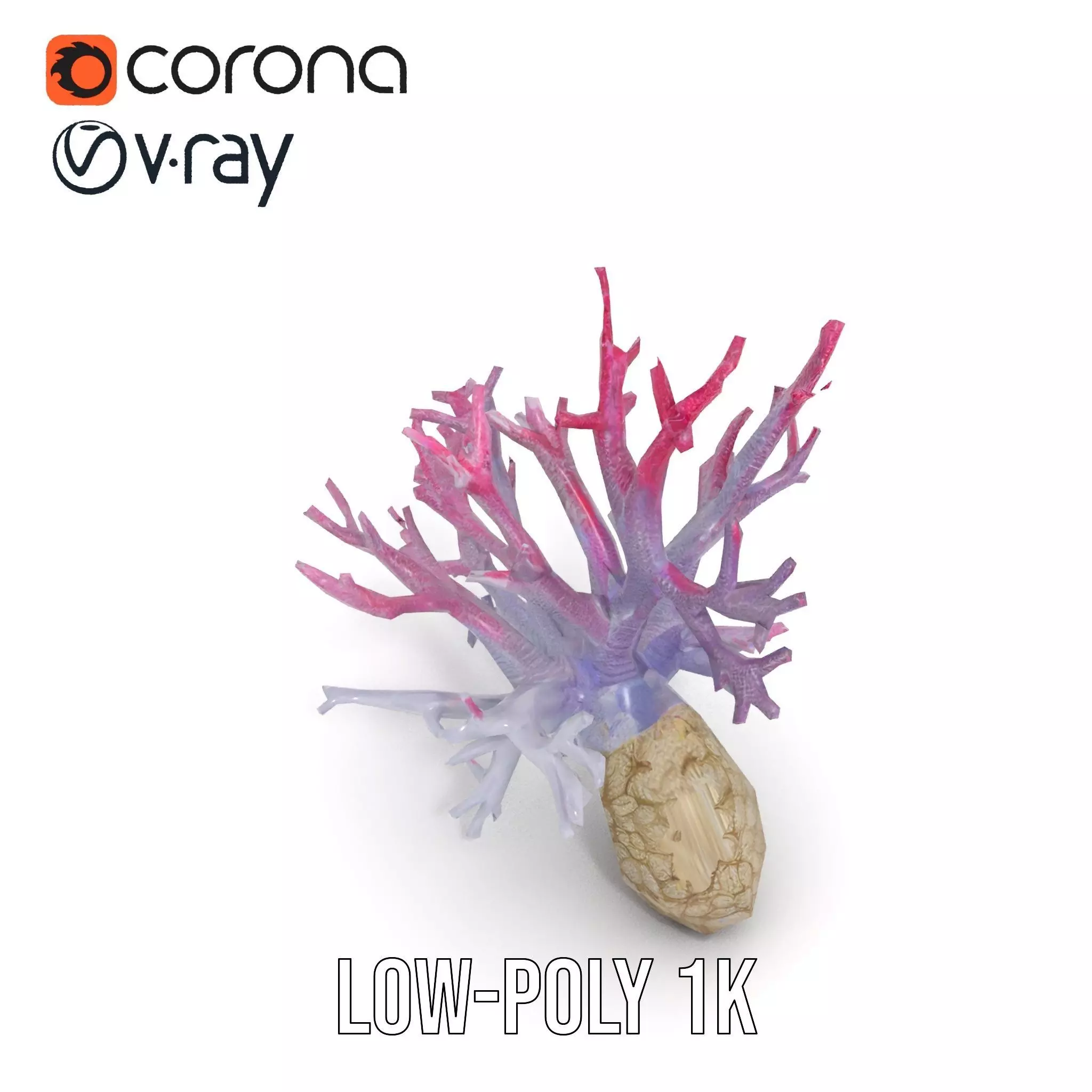 Pink Coral Growth model pack Low-poly 3D model_9