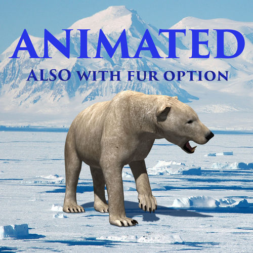3D animated Polar Bear  3D model