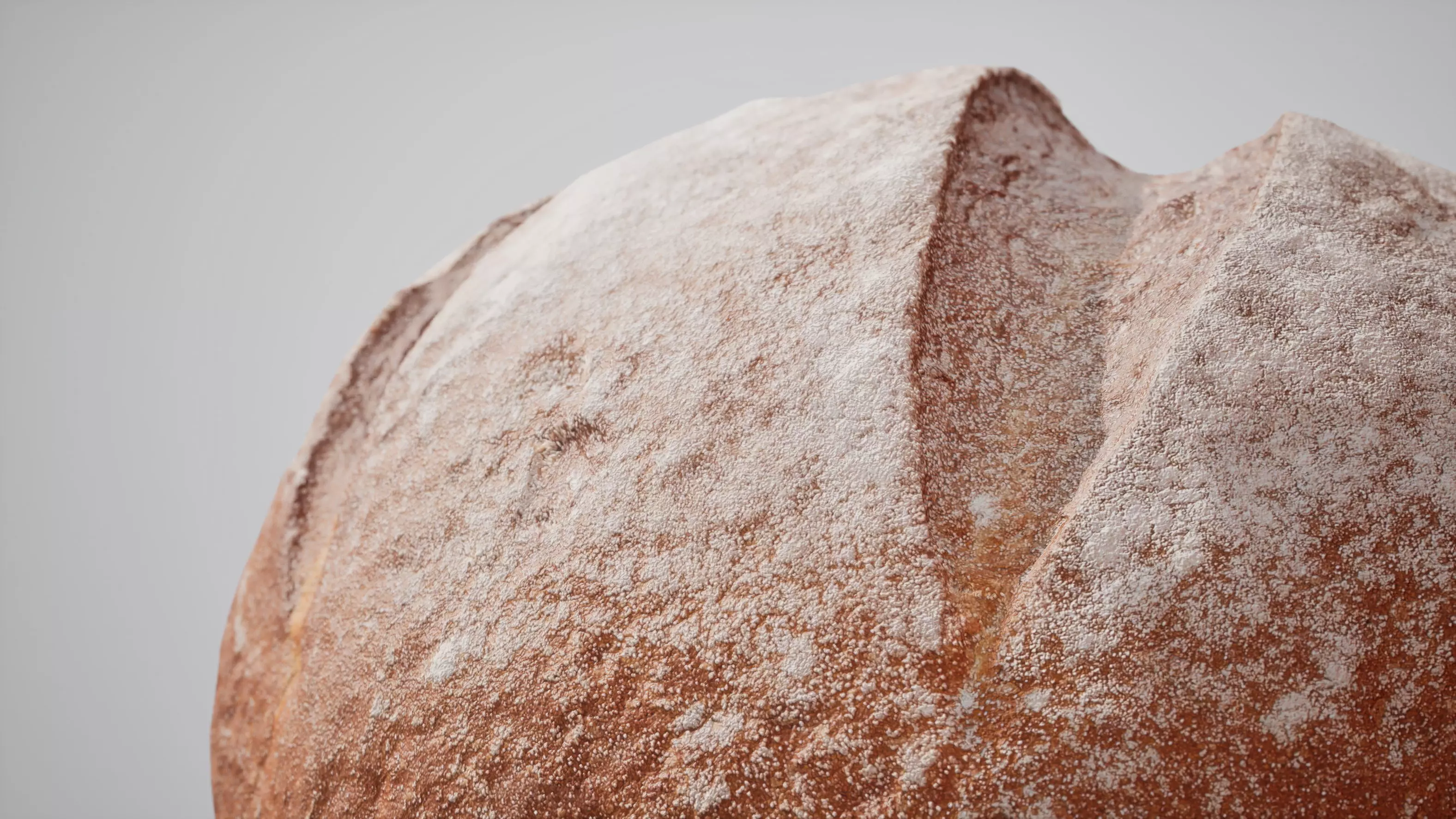 Rye Bread Game ready model 5K triangles 4K PBR textures Low-poly 3D model_4