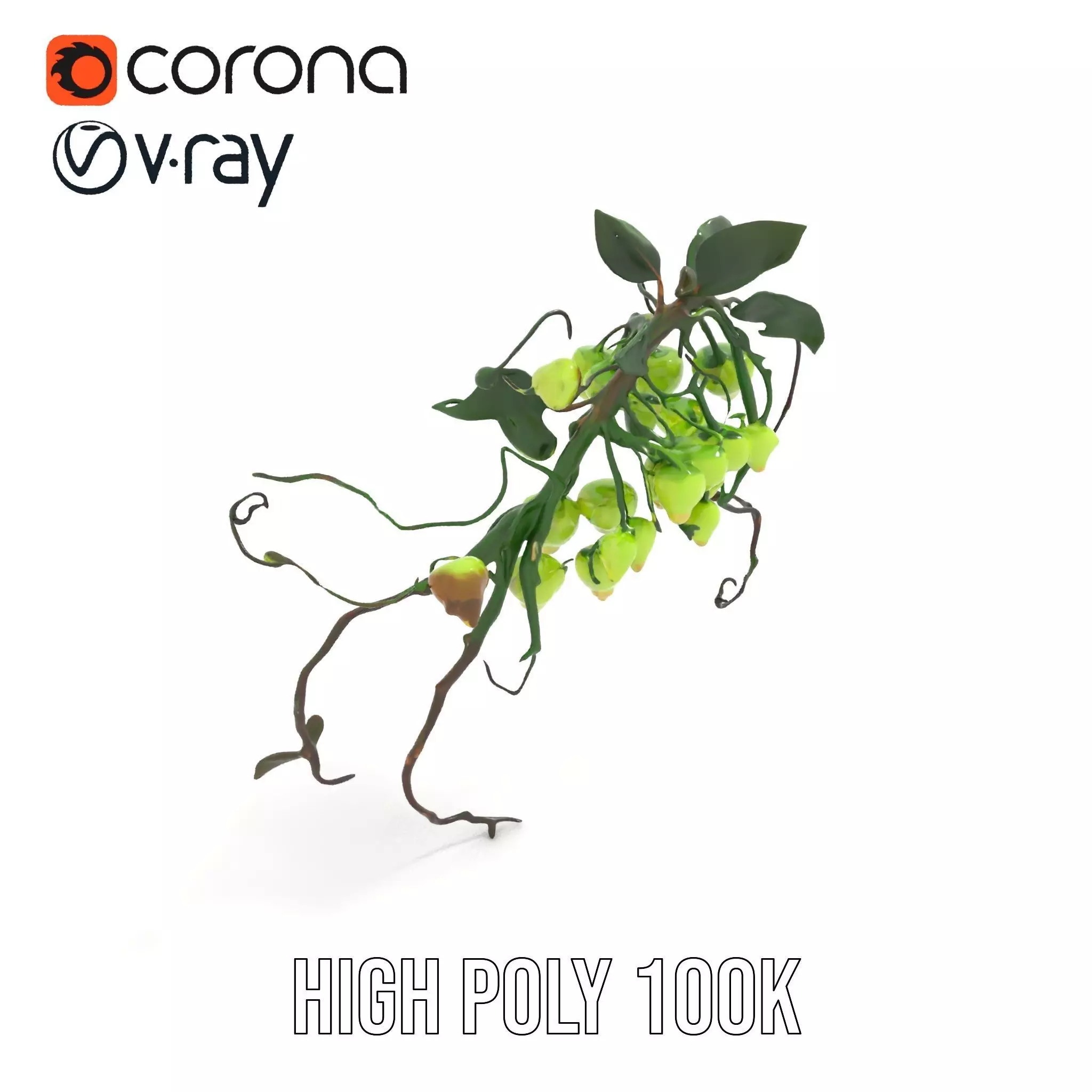 Glowing Vine Lantern model pack Low-poly 3D model_17