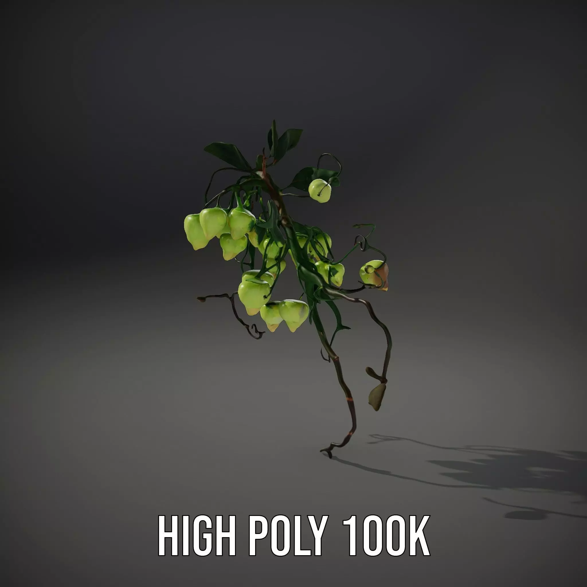 Glowing Vine Lantern model pack Low-poly 3D model_10