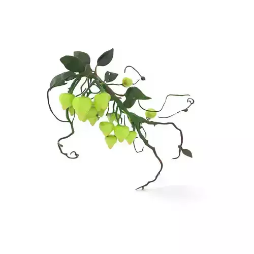Glowing Vine Lantern model pack Low-poly 3D model