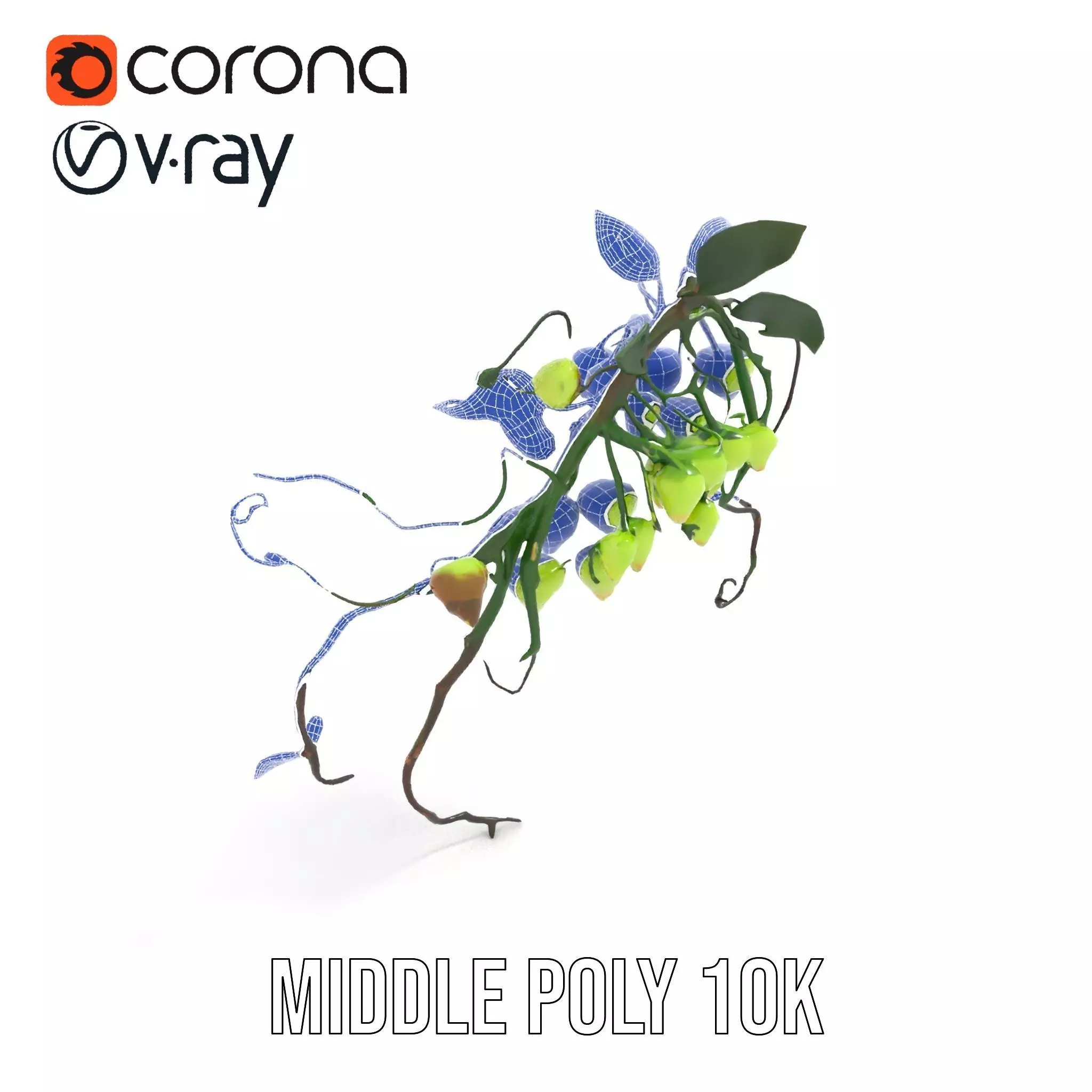 Glowing Vine Lantern model pack Low-poly 3D model_15