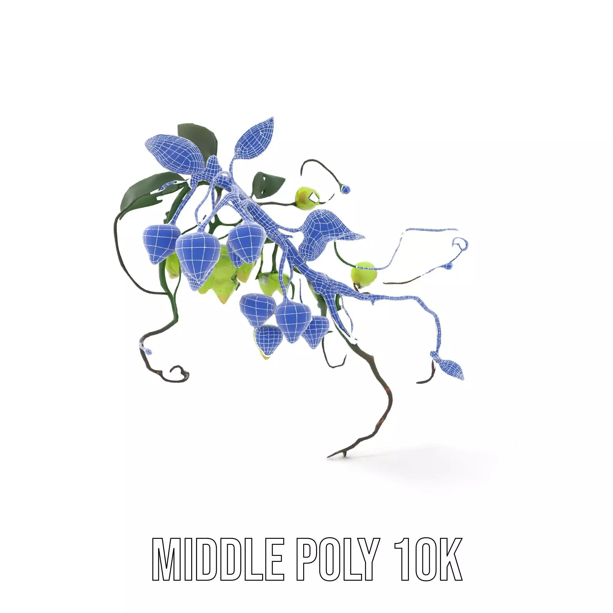 Glowing Vine Lantern model pack Low-poly 3D model_18