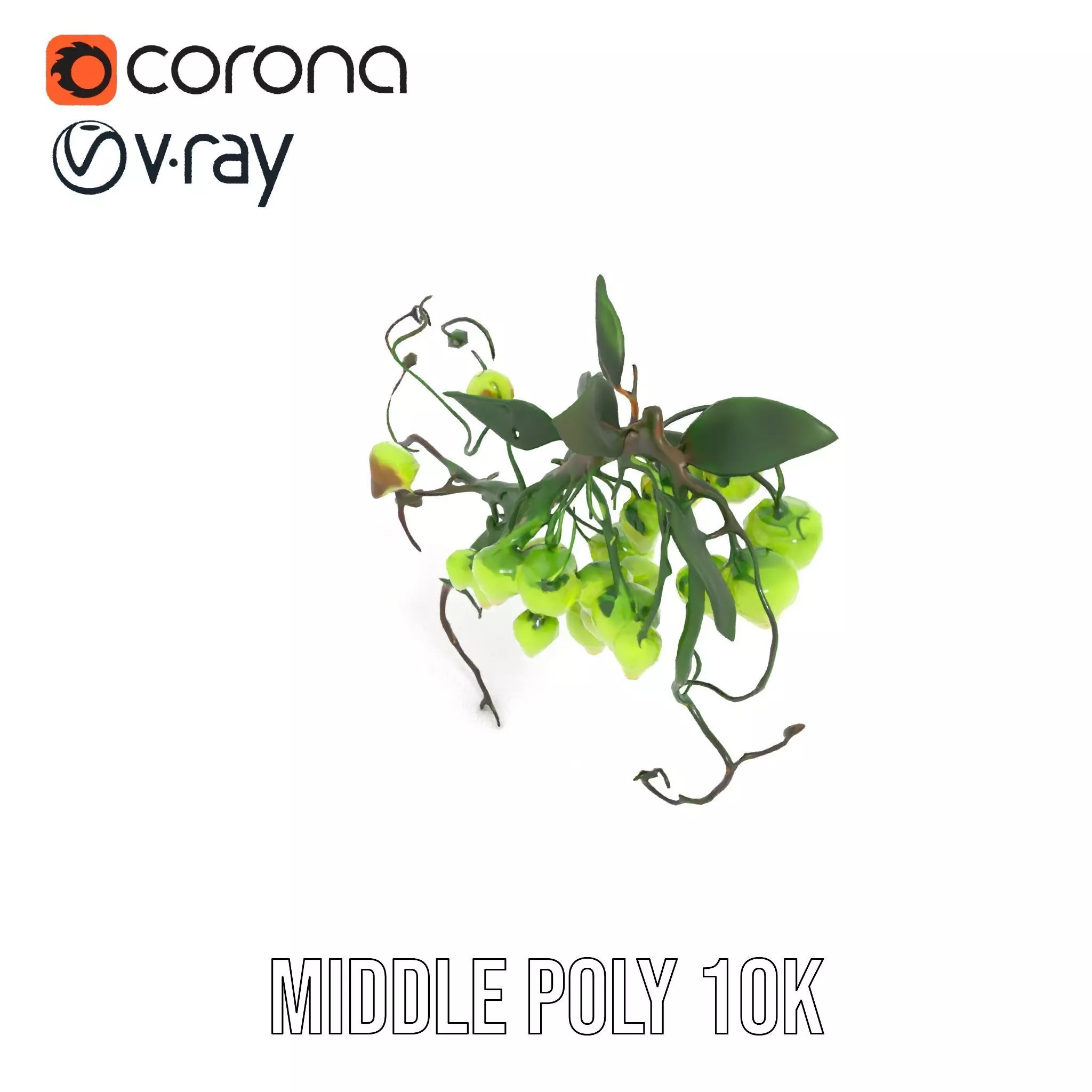 Glowing Vine Lantern model pack Low-poly 3D model_6