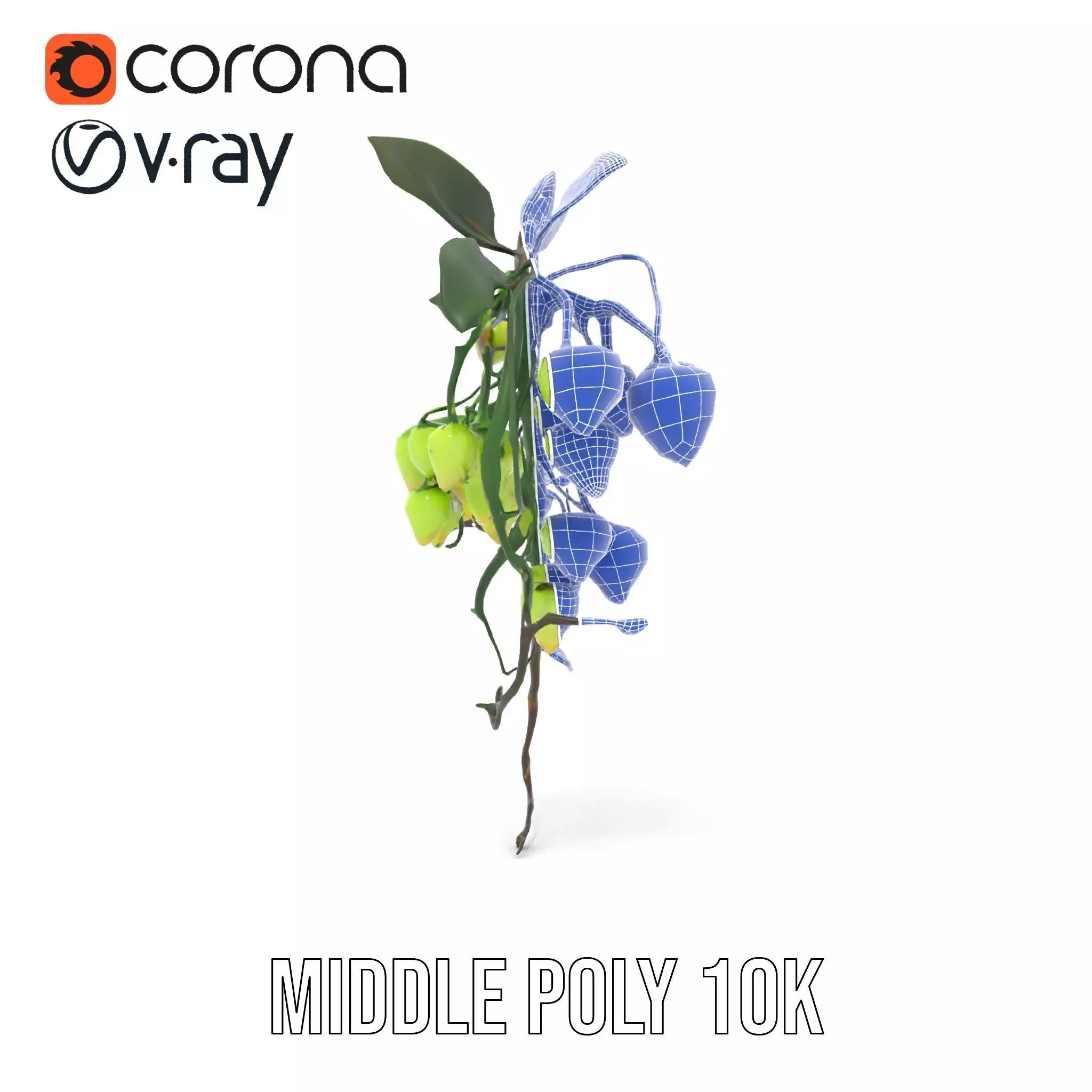 Glowing Vine Lantern model pack Low-poly 3D model_27