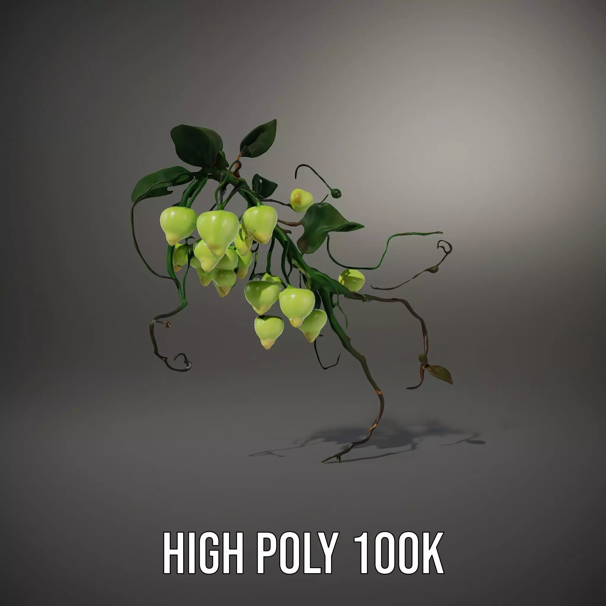 Glowing Vine Lantern model pack Low-poly 3D model_8