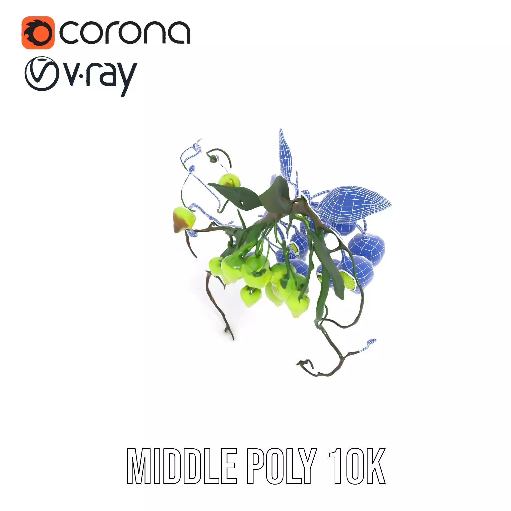 Glowing Vine Lantern model pack Low-poly 3D model_30