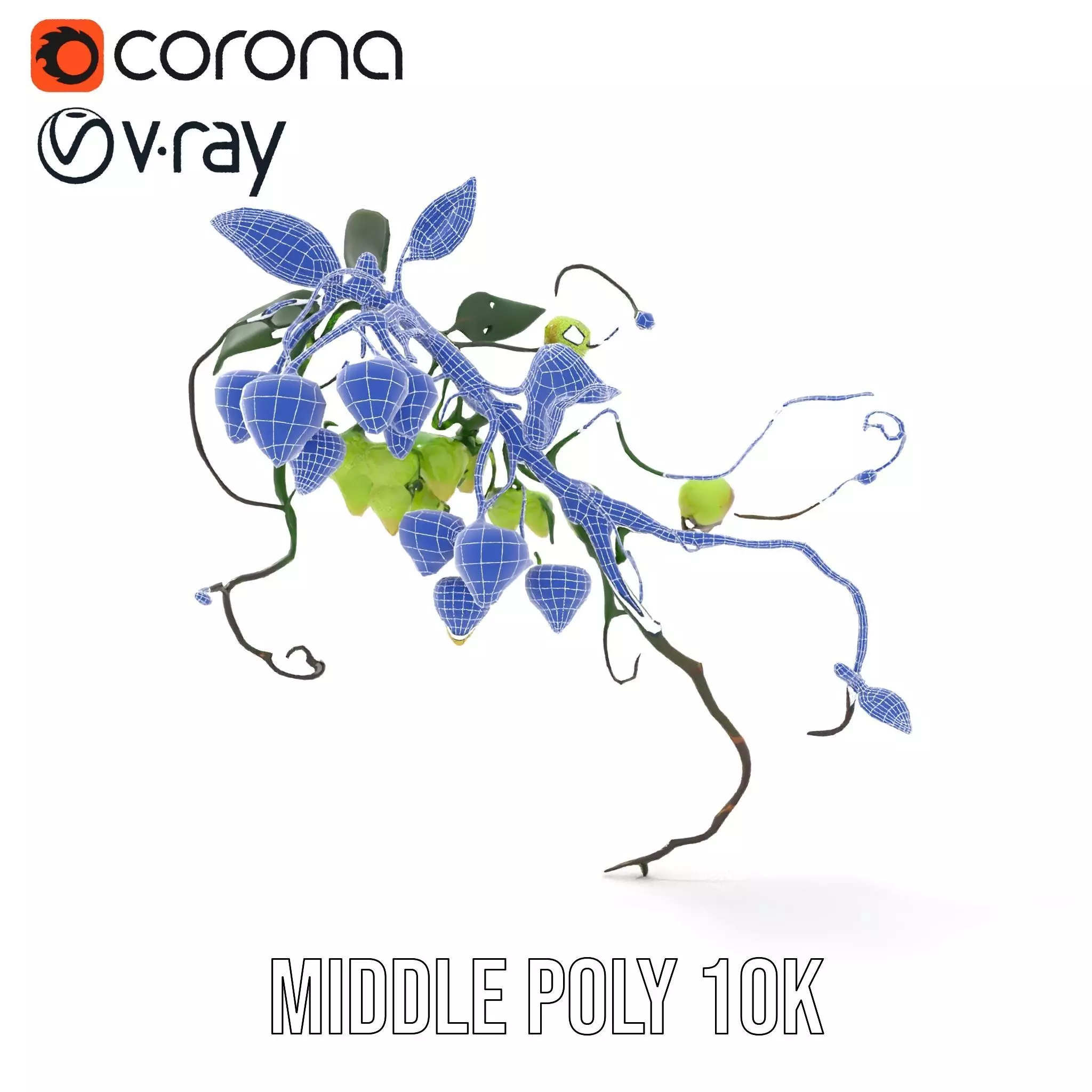 Glowing Vine Lantern model pack Low-poly 3D model_11