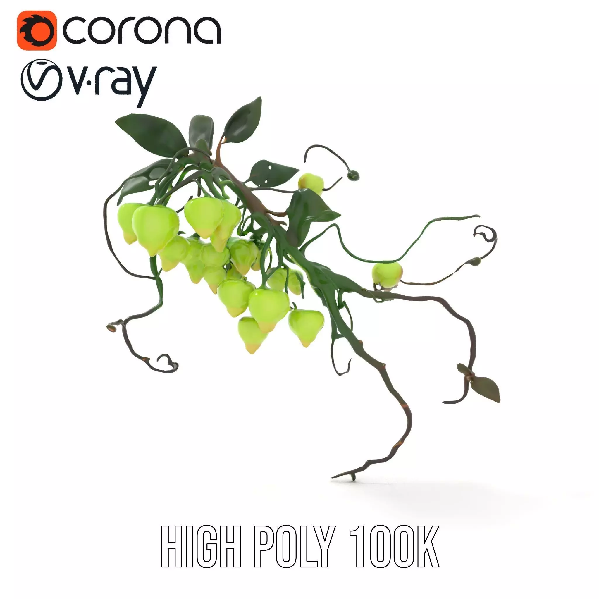 Glowing Vine Lantern model pack Low-poly 3D model_32