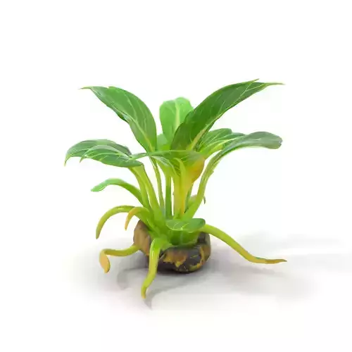 Luminous Green Plant model pack