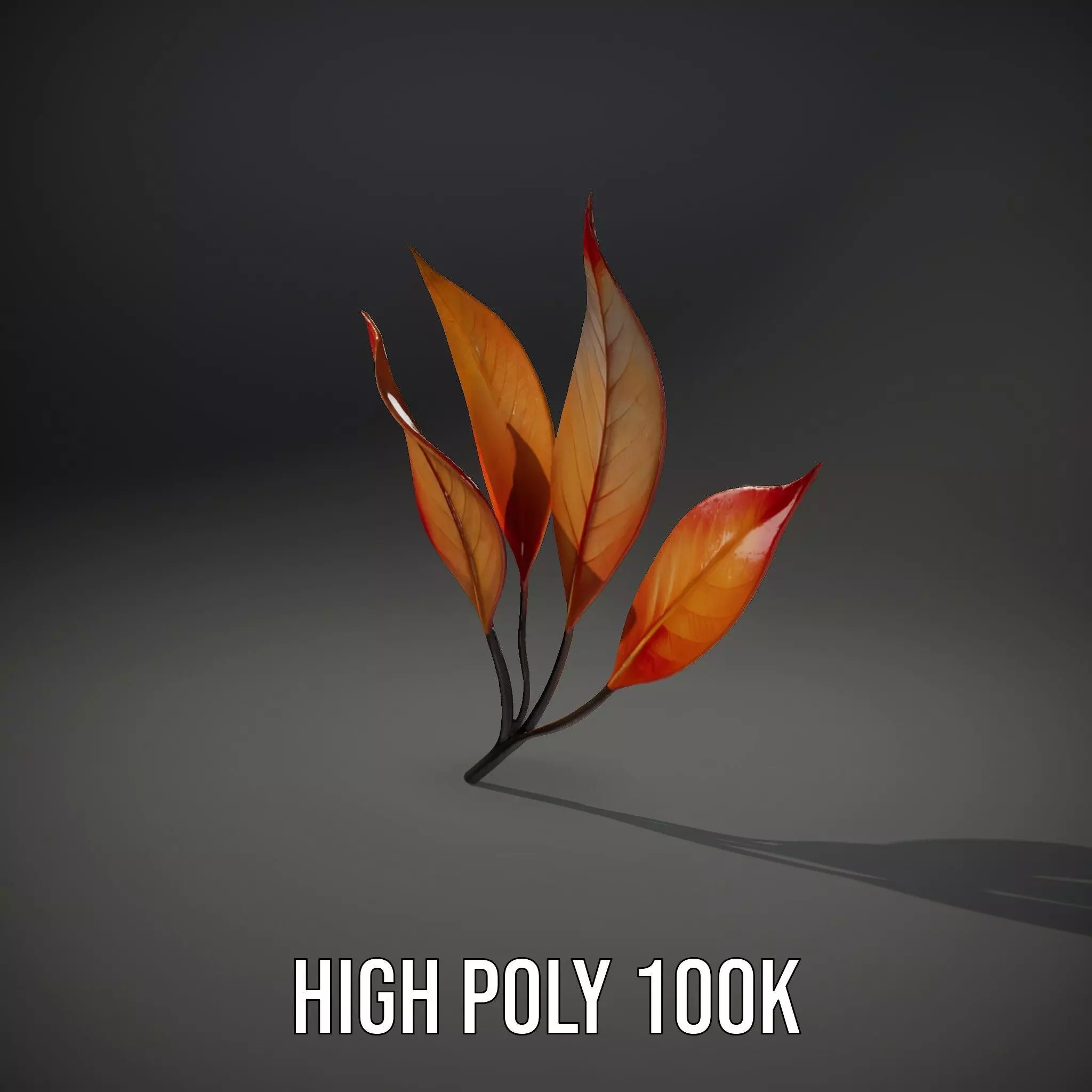 Vibrant Gradient Leaf model pack Low-poly 3D model_8