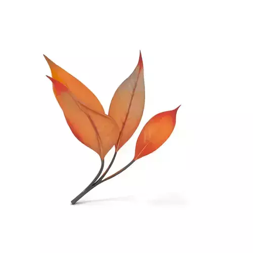 Vibrant Gradient Leaf model pack