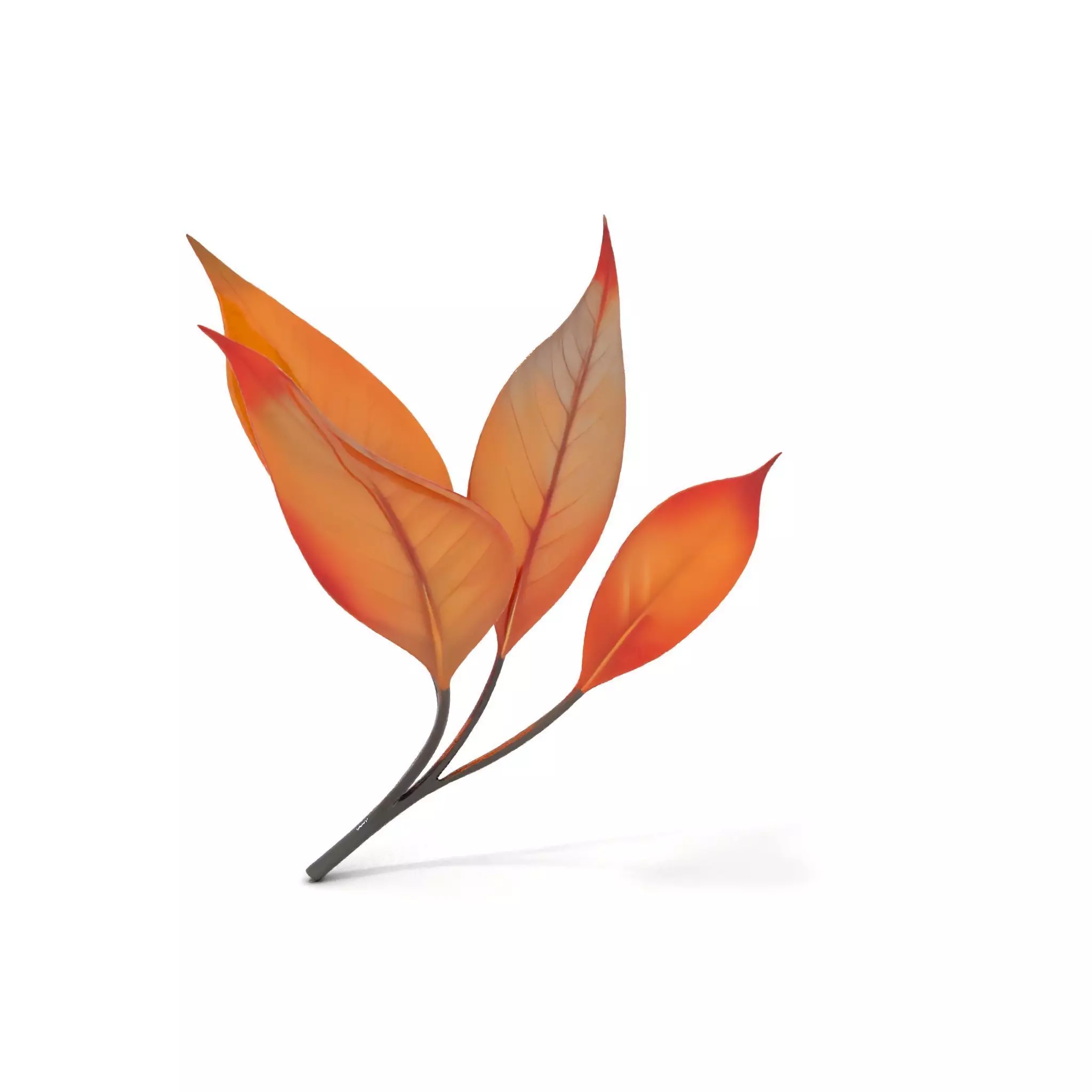 Vibrant Gradient Leaf model pack Low-poly 3D model_0