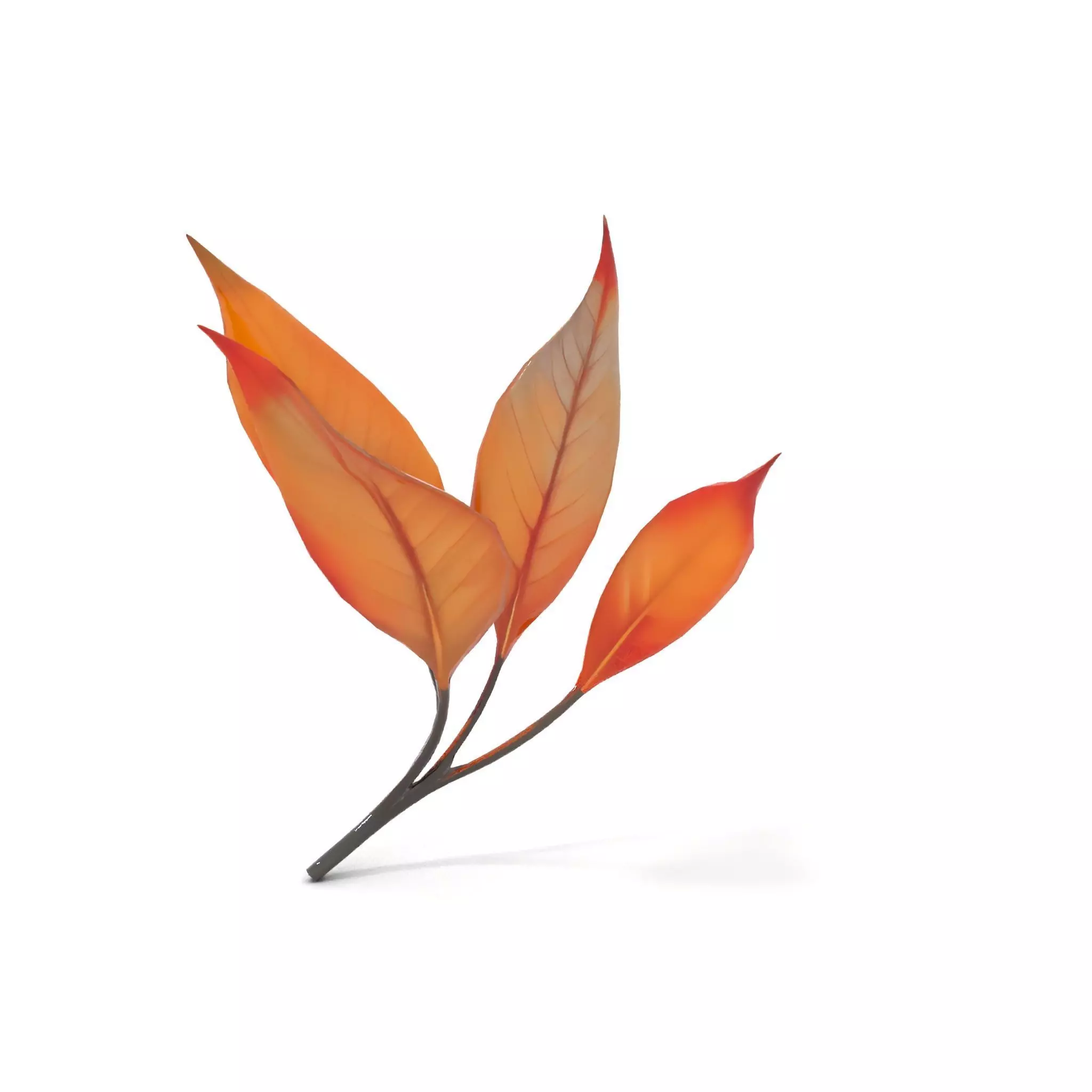 Vibrant Gradient Leaf model pack Low-poly 3D model_14