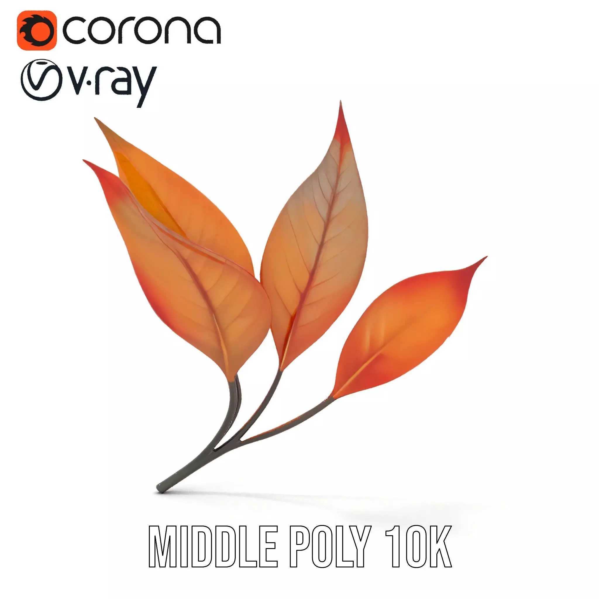 Vibrant Gradient Leaf model pack Low-poly 3D model_6