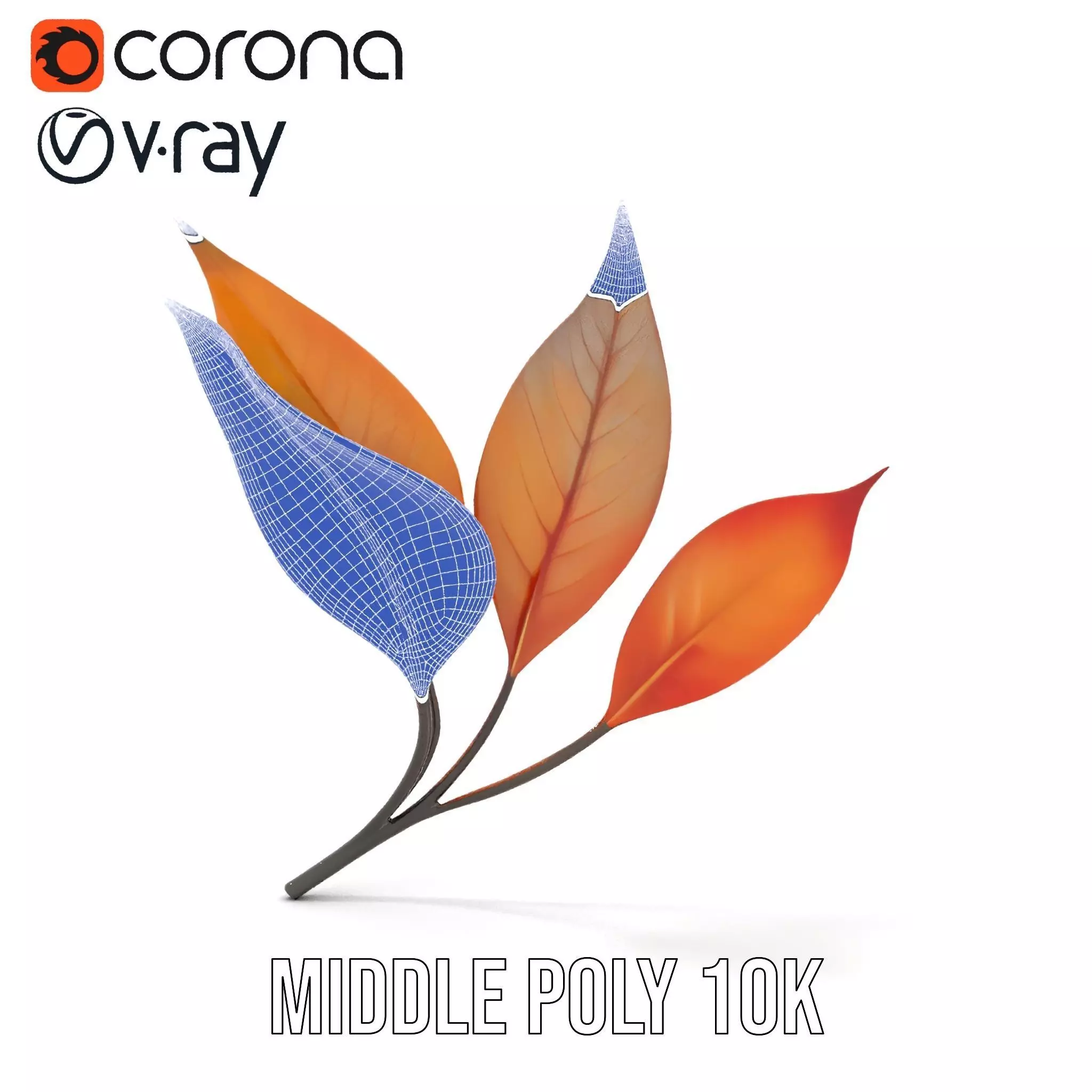 Vibrant Gradient Leaf model pack Low-poly 3D model_24