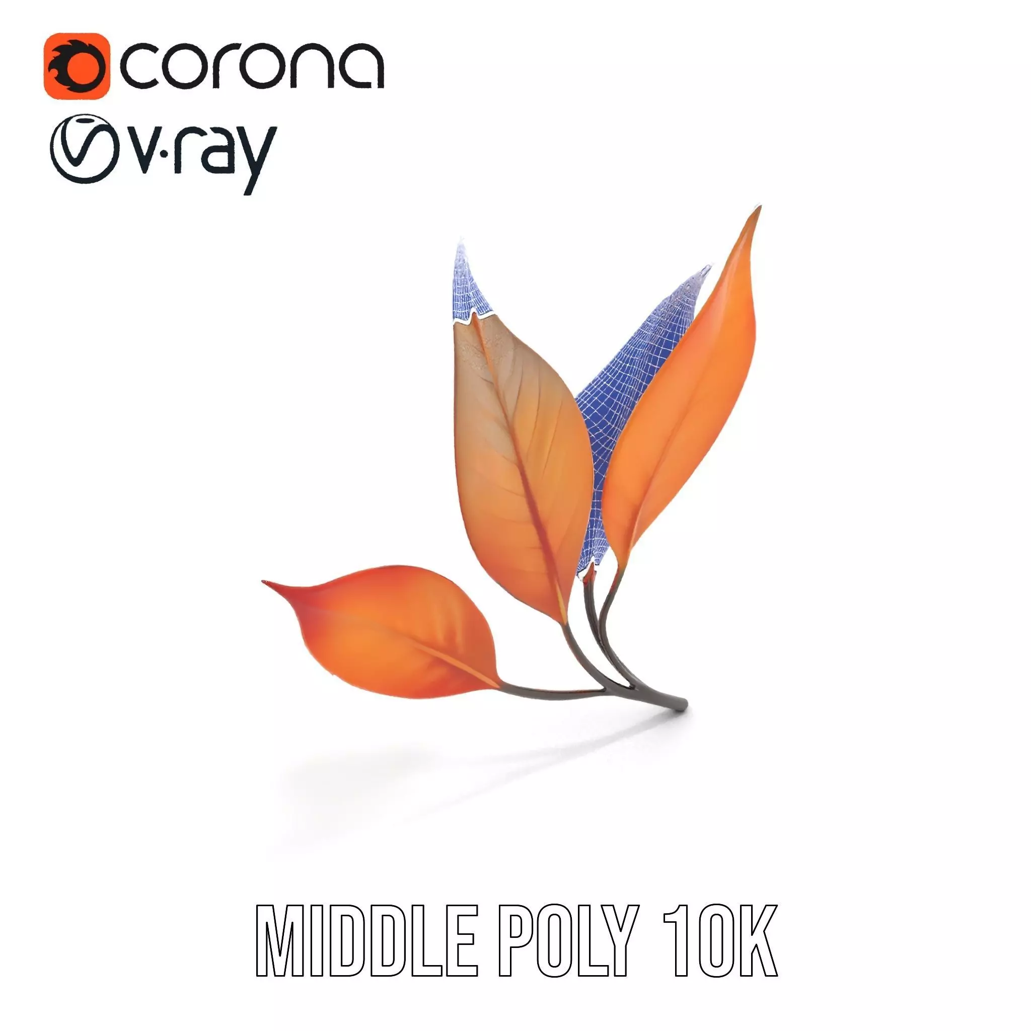 Vibrant Gradient Leaf model pack Low-poly 3D model_21