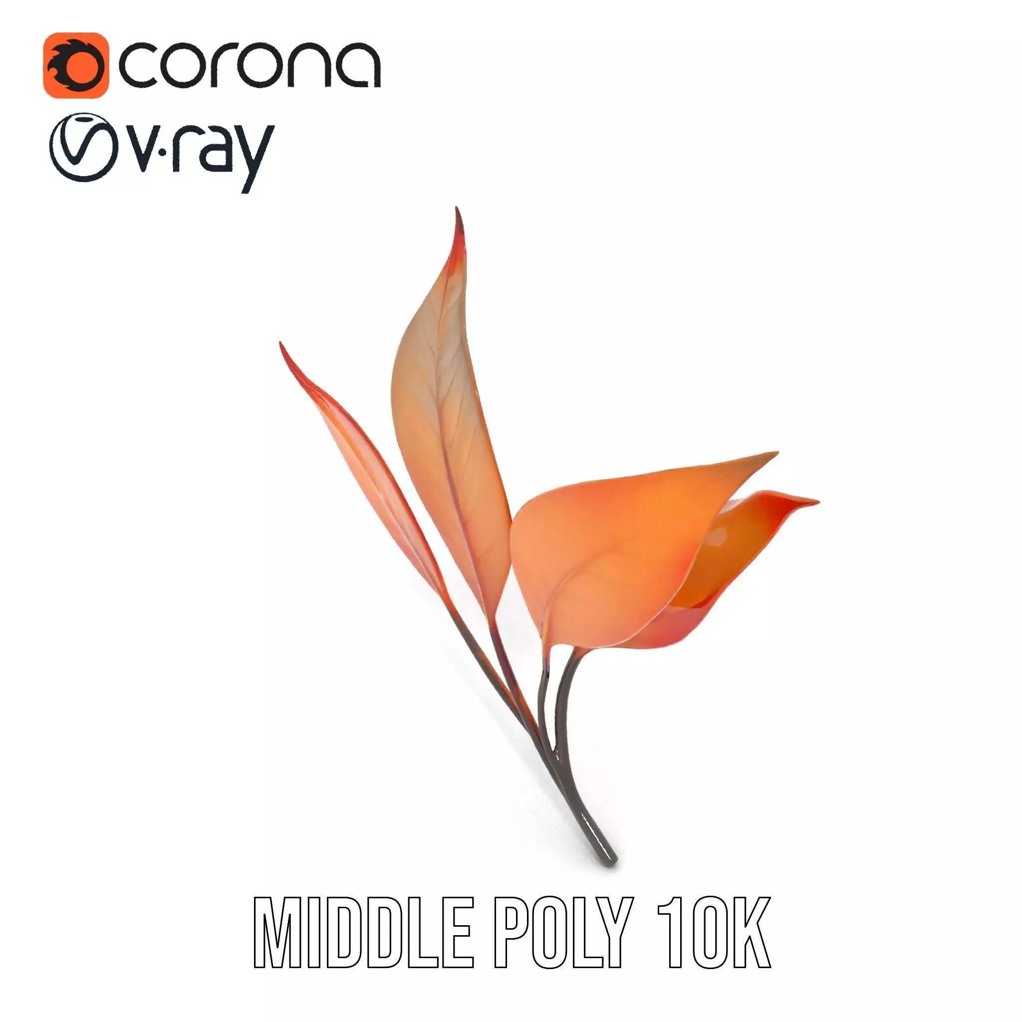 Vibrant Gradient Leaf model pack Low-poly 3D model_18