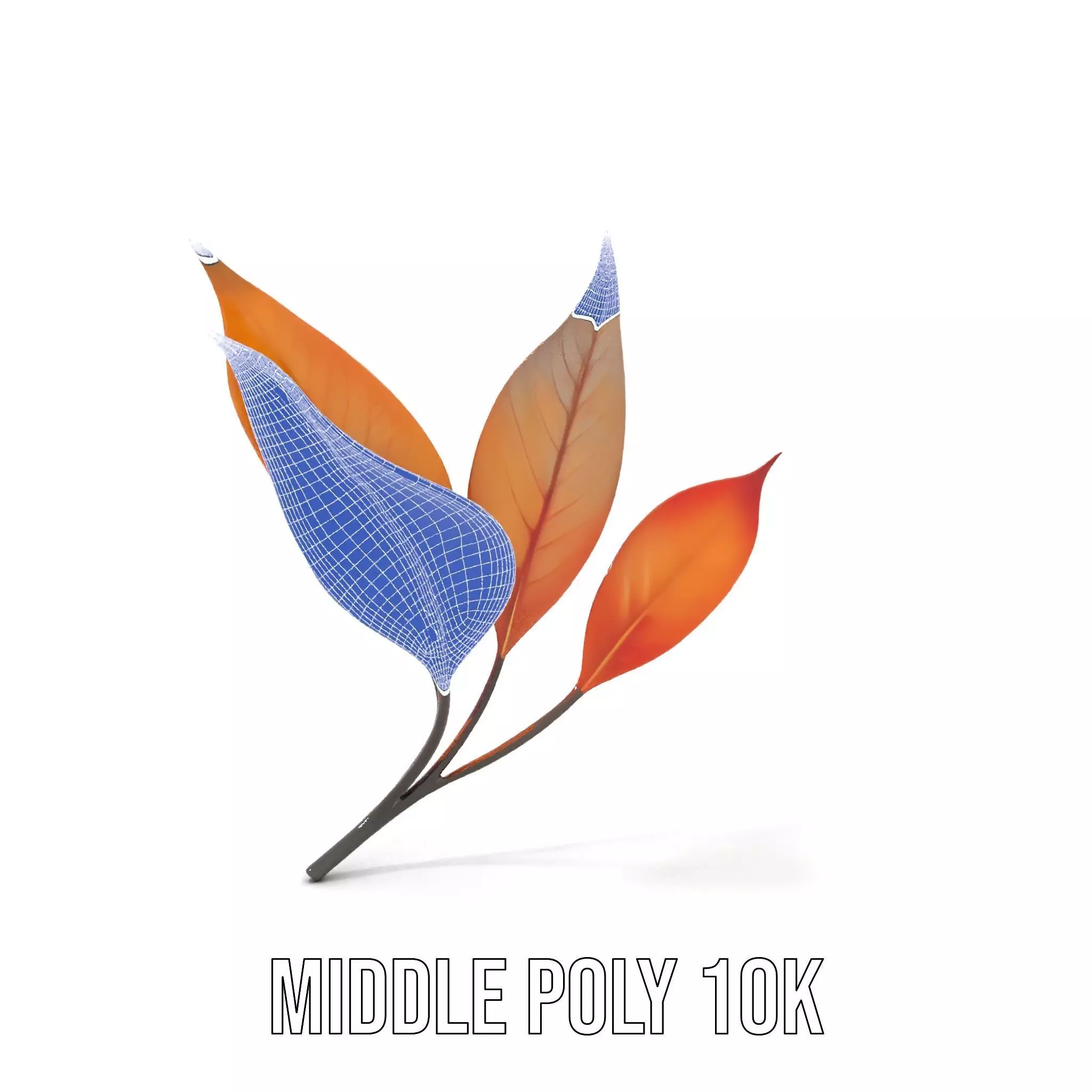 Vibrant Gradient Leaf model pack Low-poly 3D model_15