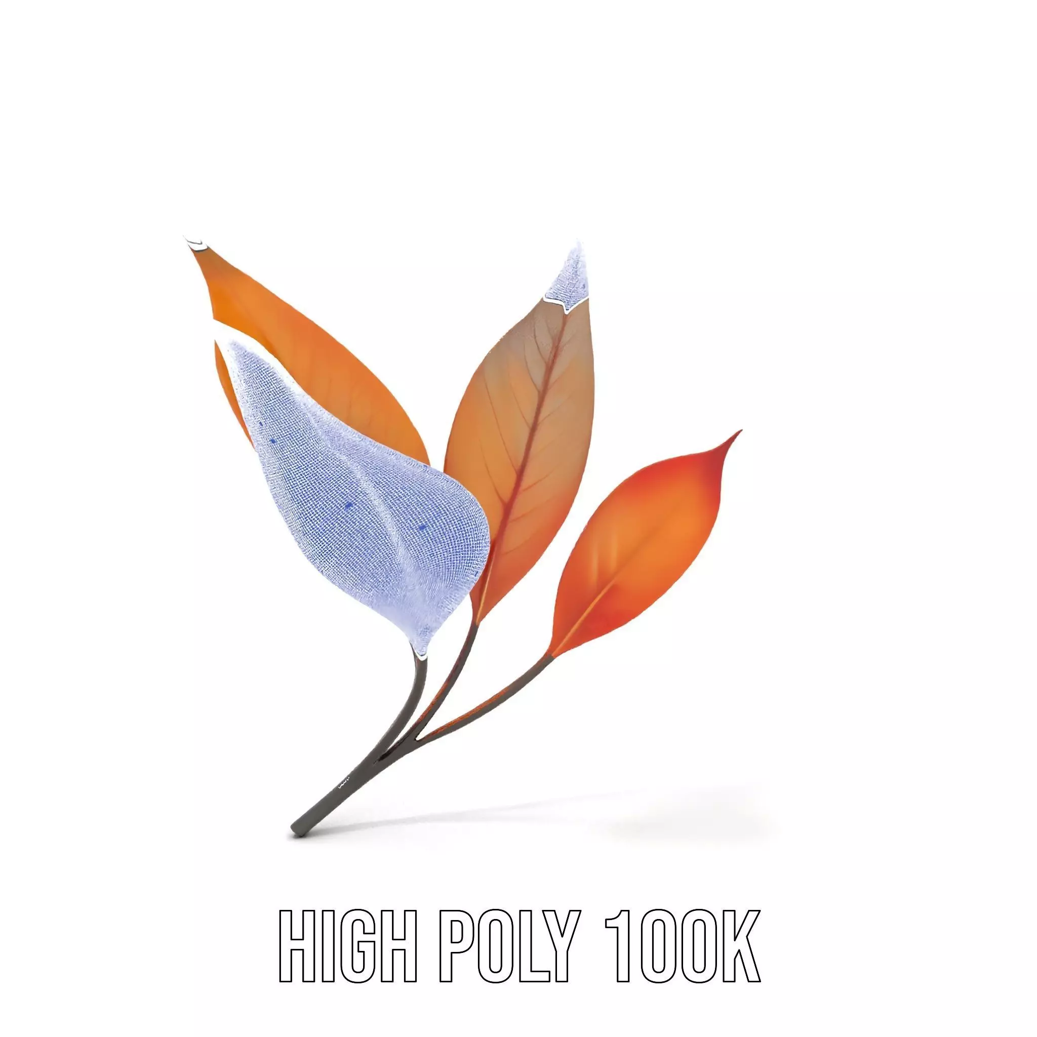 Vibrant Gradient Leaf model pack Low-poly 3D model_4