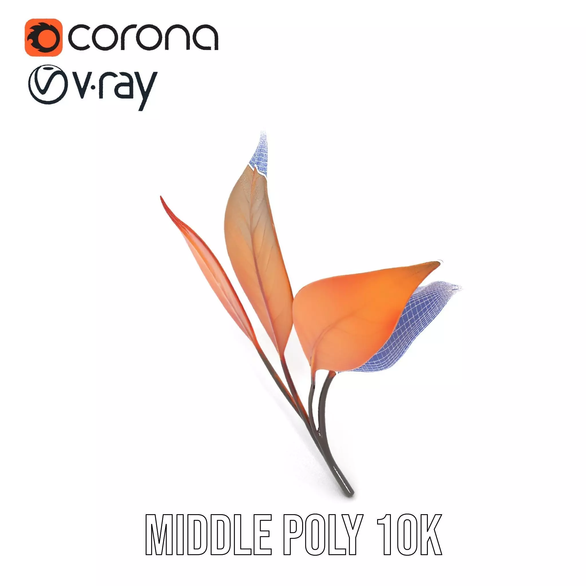 Vibrant Gradient Leaf model pack Low-poly 3D model_27