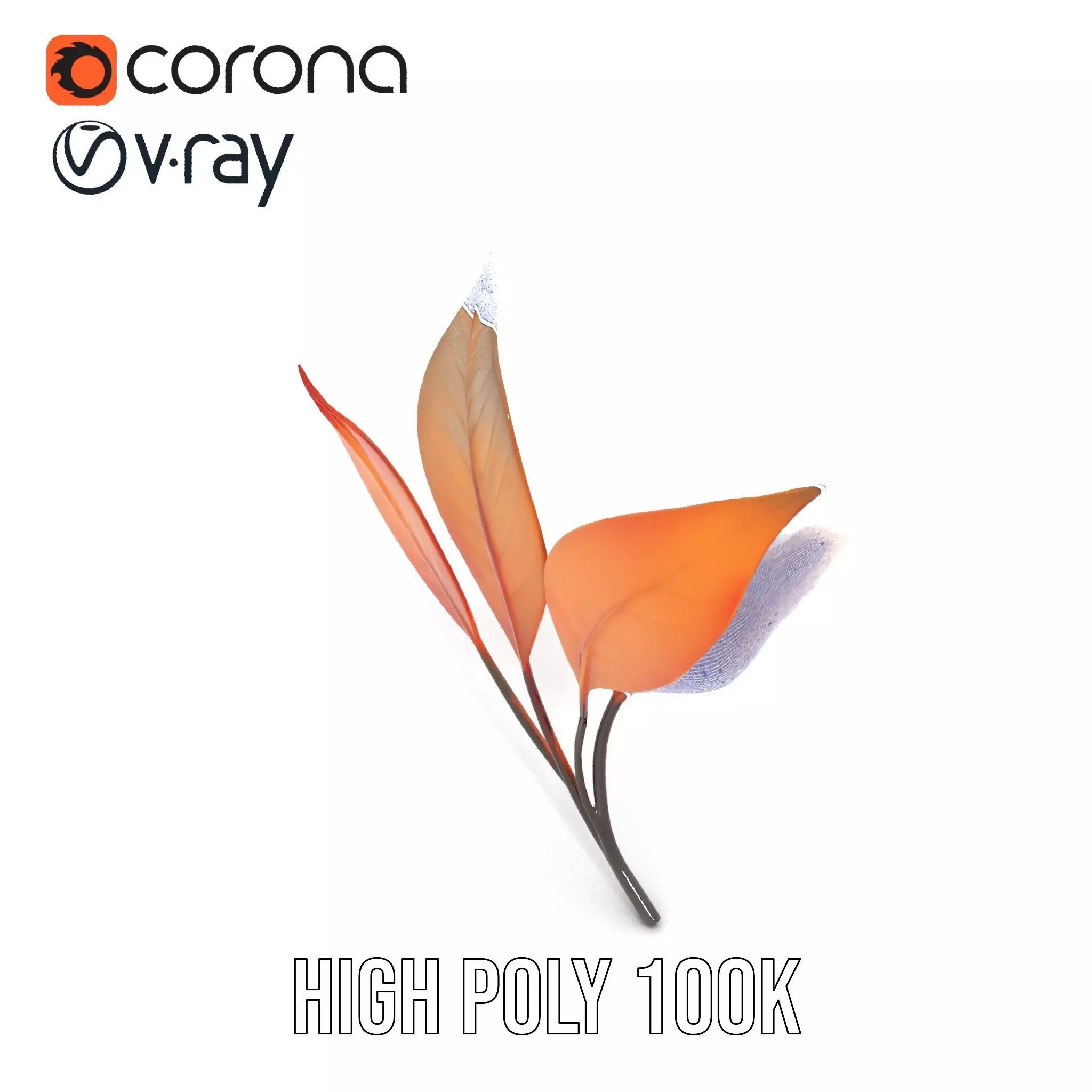 Vibrant Gradient Leaf model pack Low-poly 3D model_29