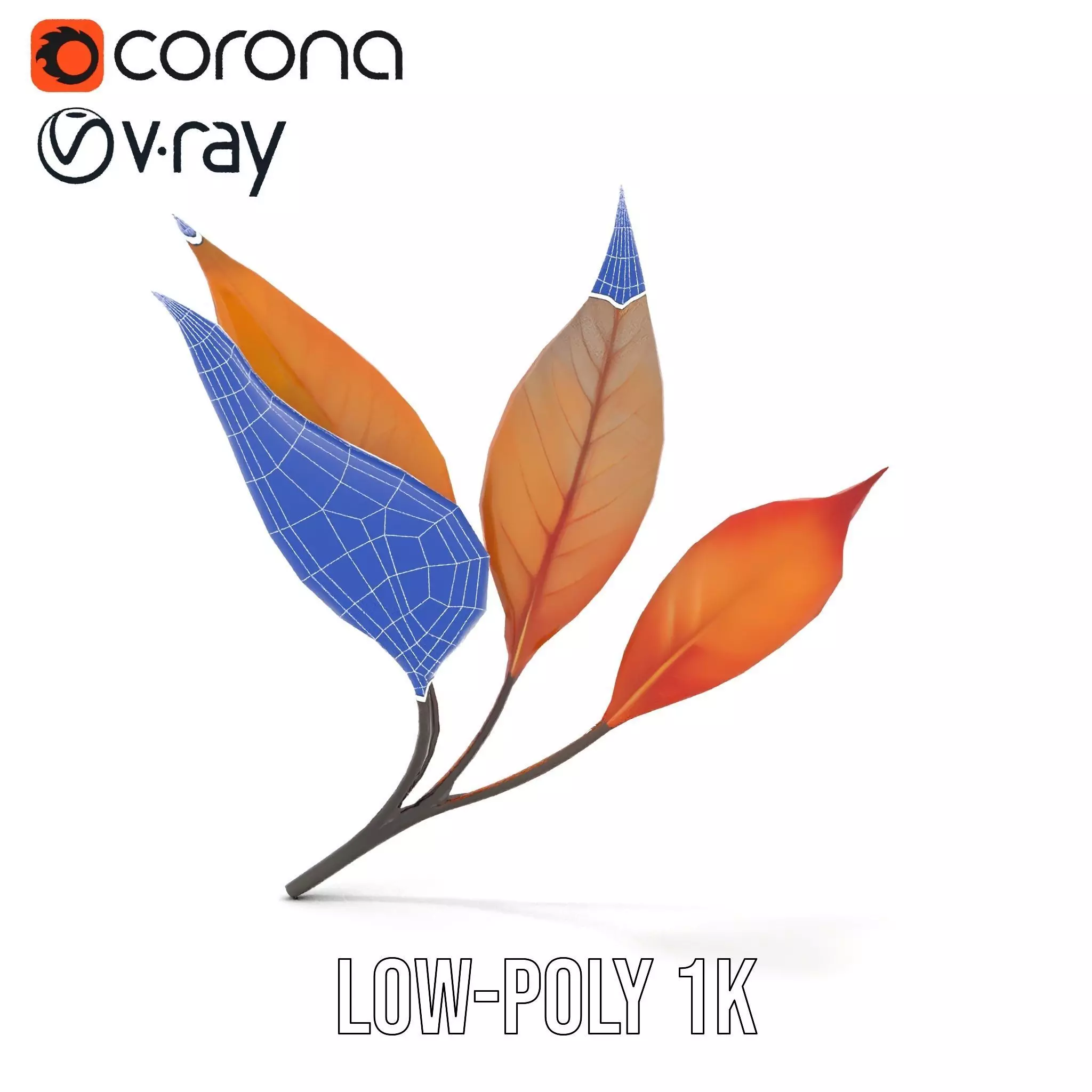 Vibrant Gradient Leaf model pack Low-poly 3D model_25