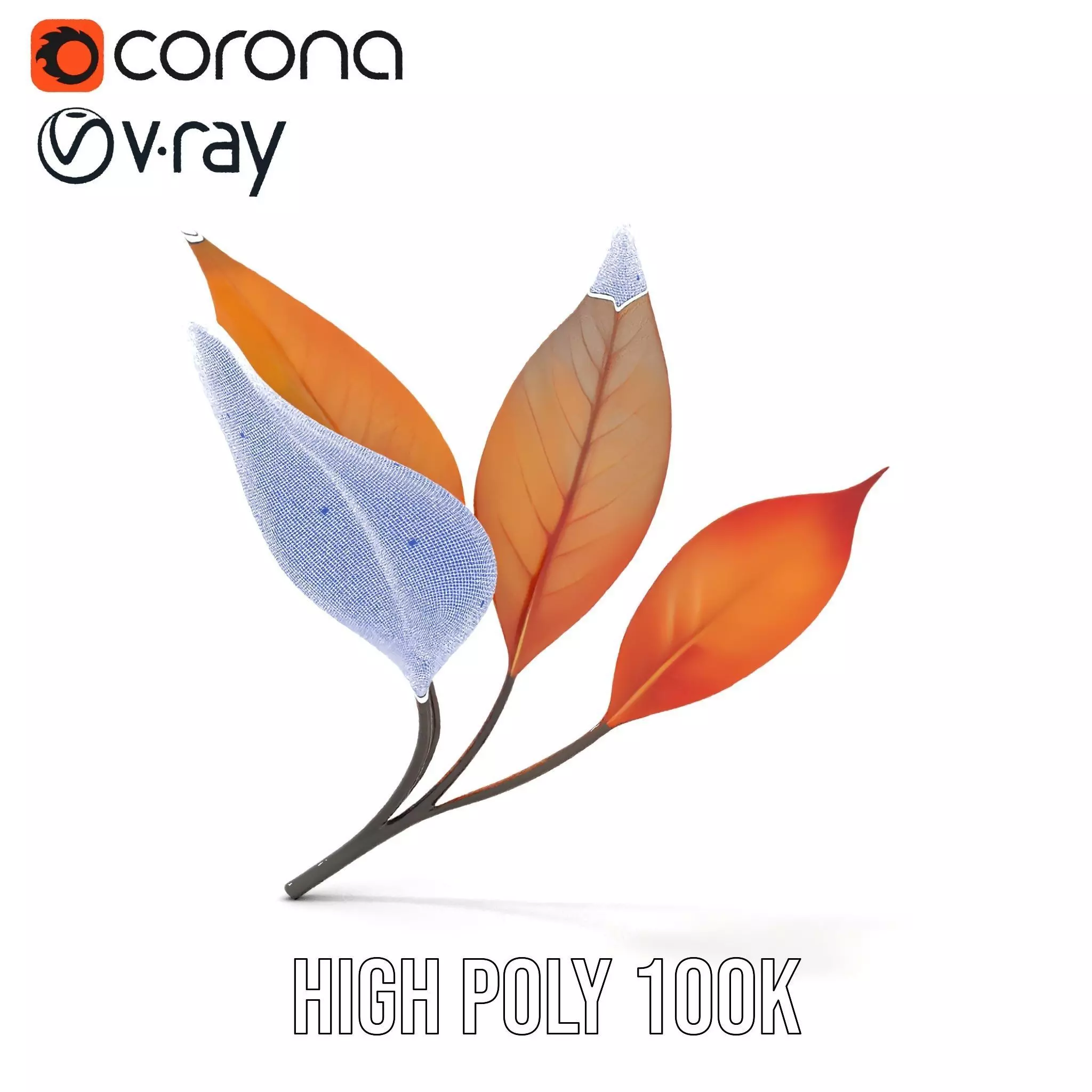 Vibrant Gradient Leaf model pack Low-poly 3D model_32