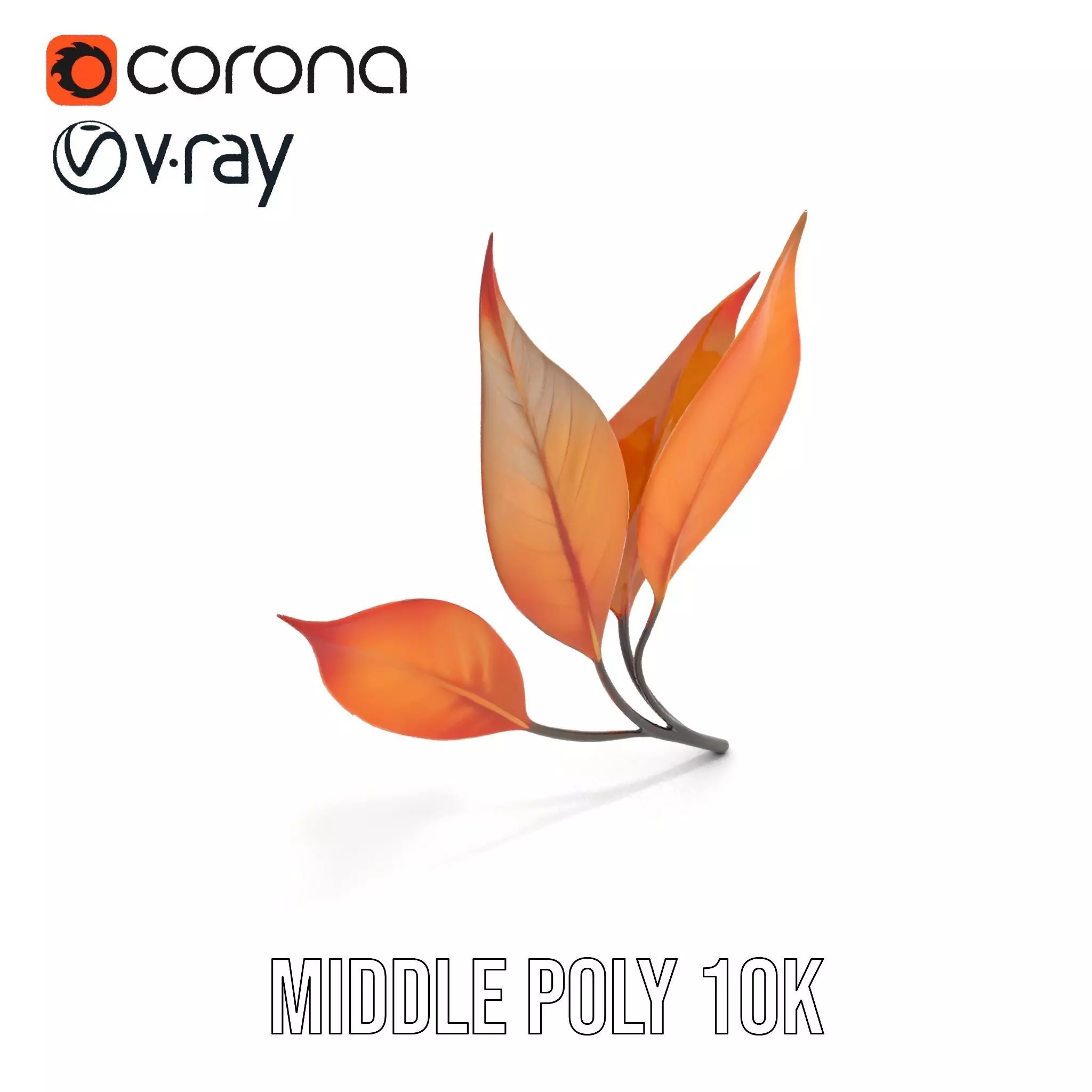Vibrant Gradient Leaf model pack Low-poly 3D model_5