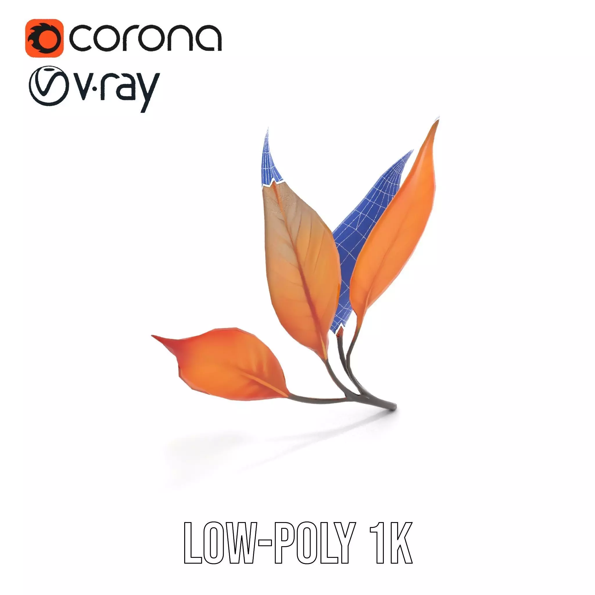 Vibrant Gradient Leaf model pack Low-poly 3D model_12