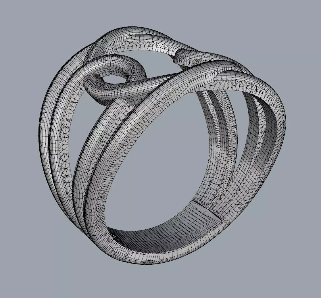 Loop Ring 3D print model_24