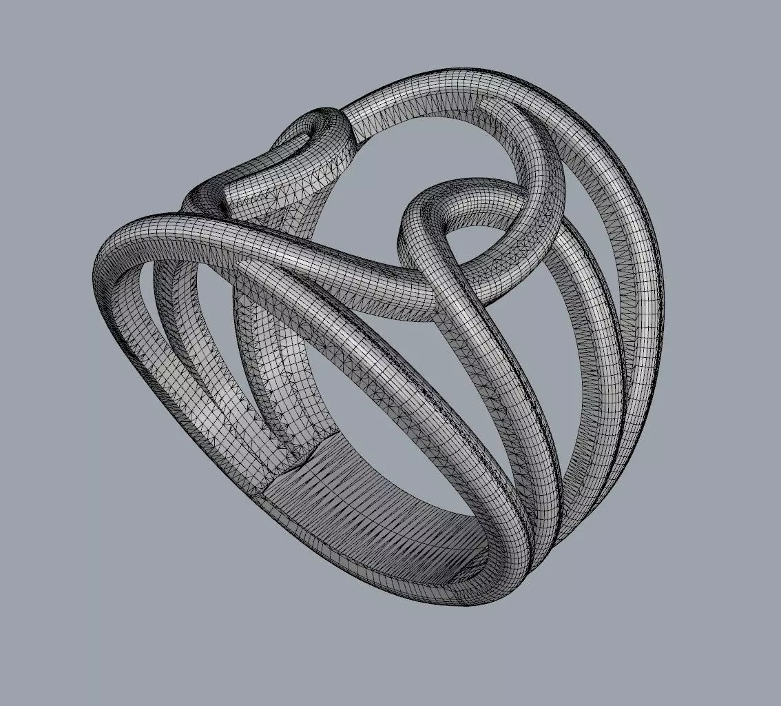 Loop Ring 3D print model_23