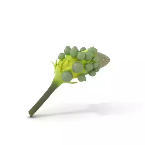 Iridescent Floral Pod model pack