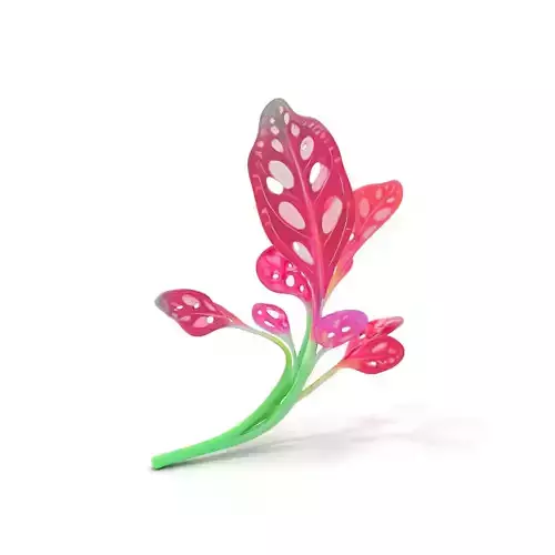 Vibrant Botanical Leaf model pack