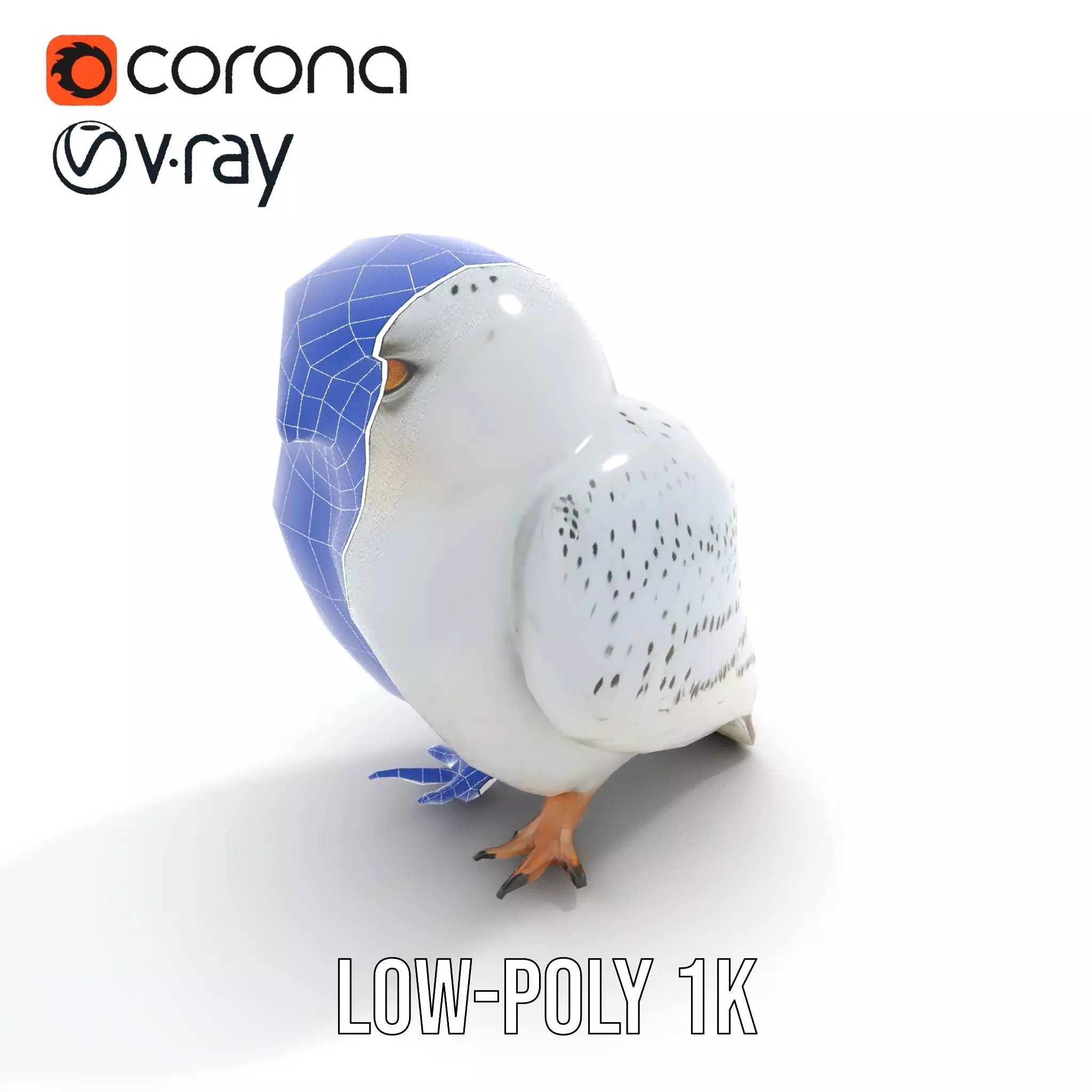 Majestic Snowy Owl model pack Low-poly 3D model_16