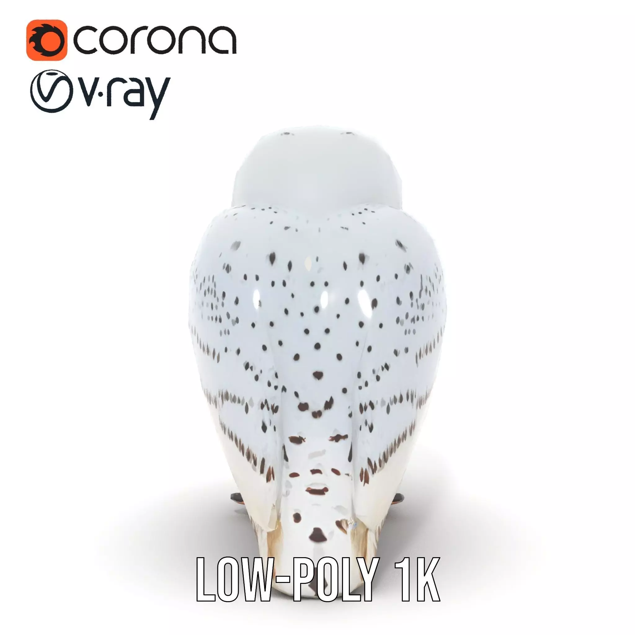 Majestic Snowy Owl model pack Low-poly 3D model_14