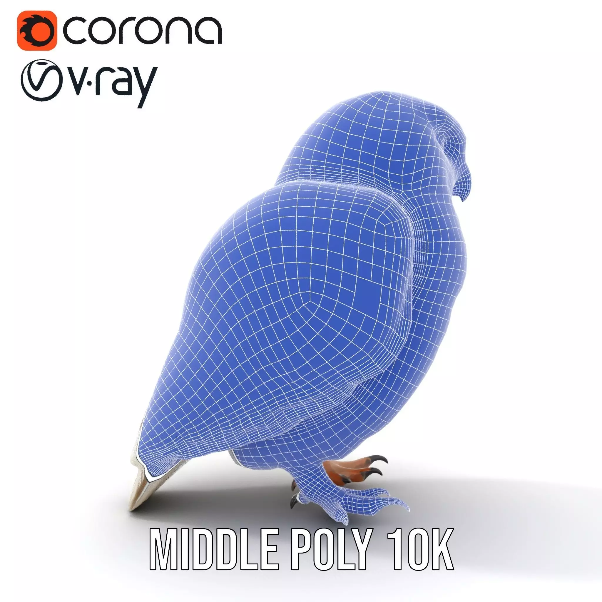 Majestic Snowy Owl model pack Low-poly 3D model_27