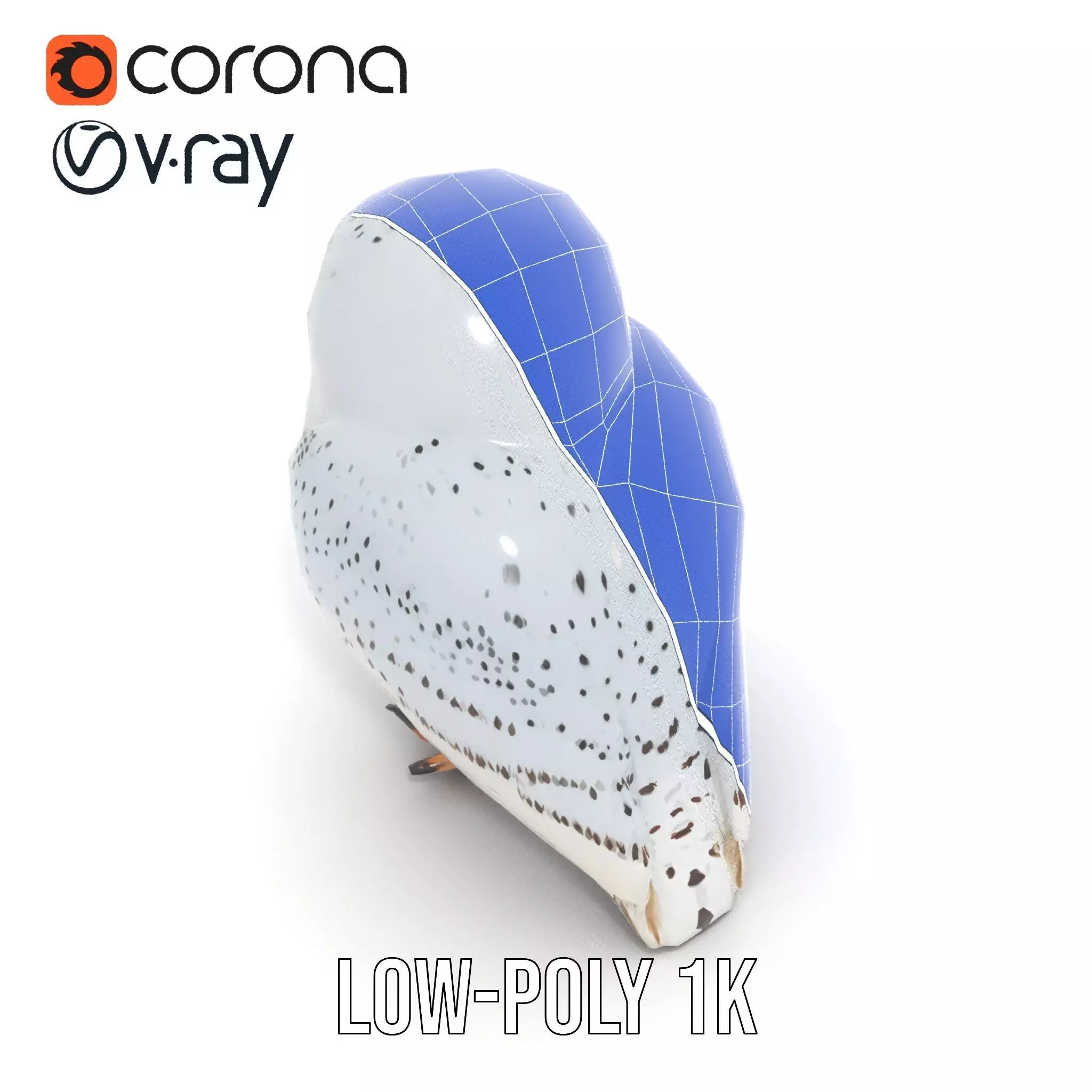 Majestic Snowy Owl model pack Low-poly 3D model_31