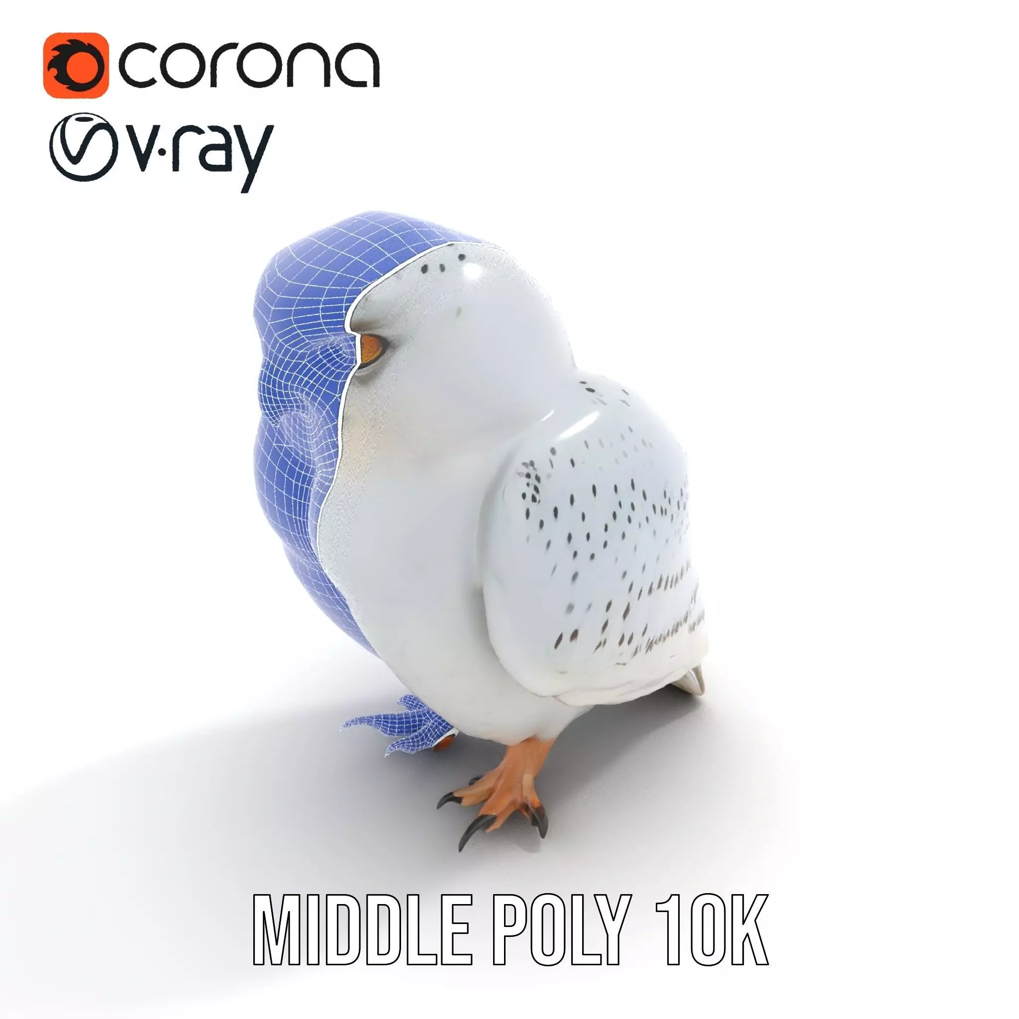 Majestic Snowy Owl model pack Low-poly 3D model_24