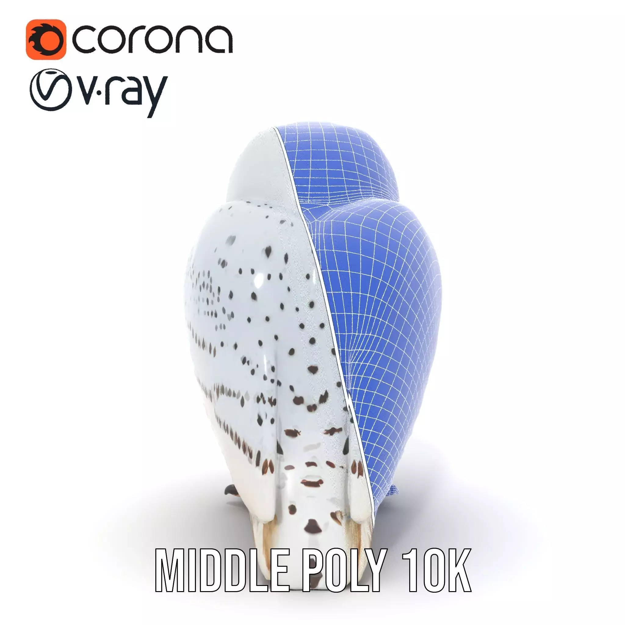 Majestic Snowy Owl model pack Low-poly 3D model_30