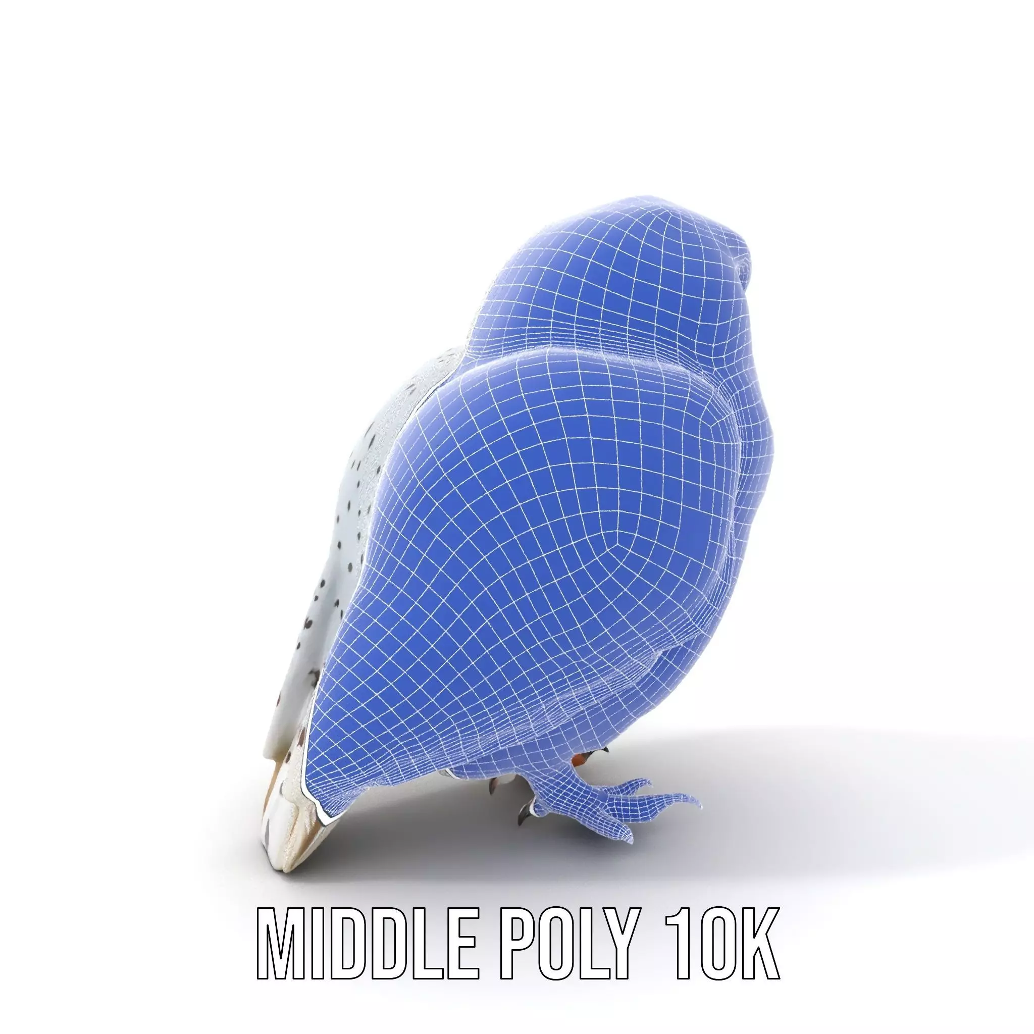 Majestic Snowy Owl model pack Low-poly 3D model_15