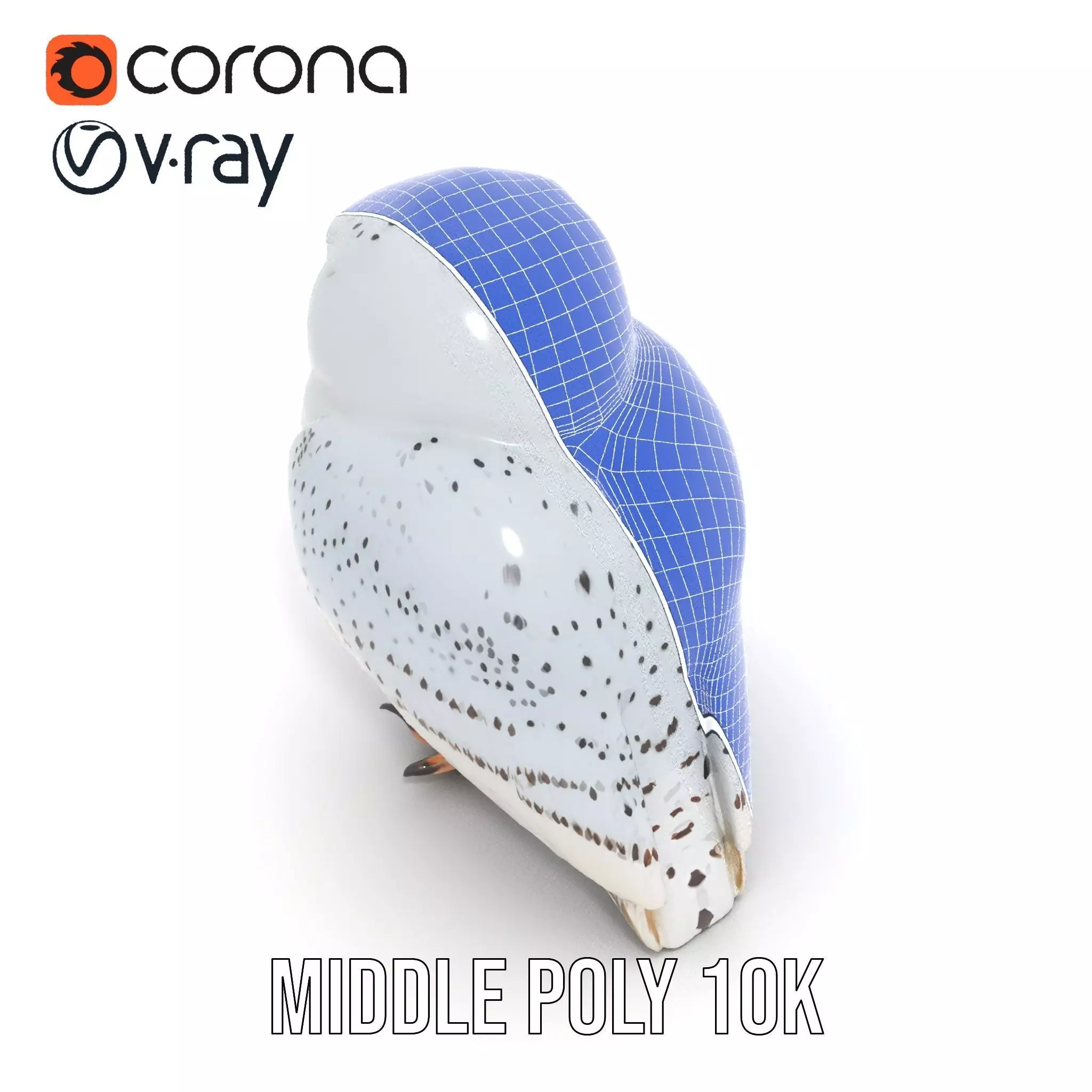 Majestic Snowy Owl model pack Low-poly 3D model_21