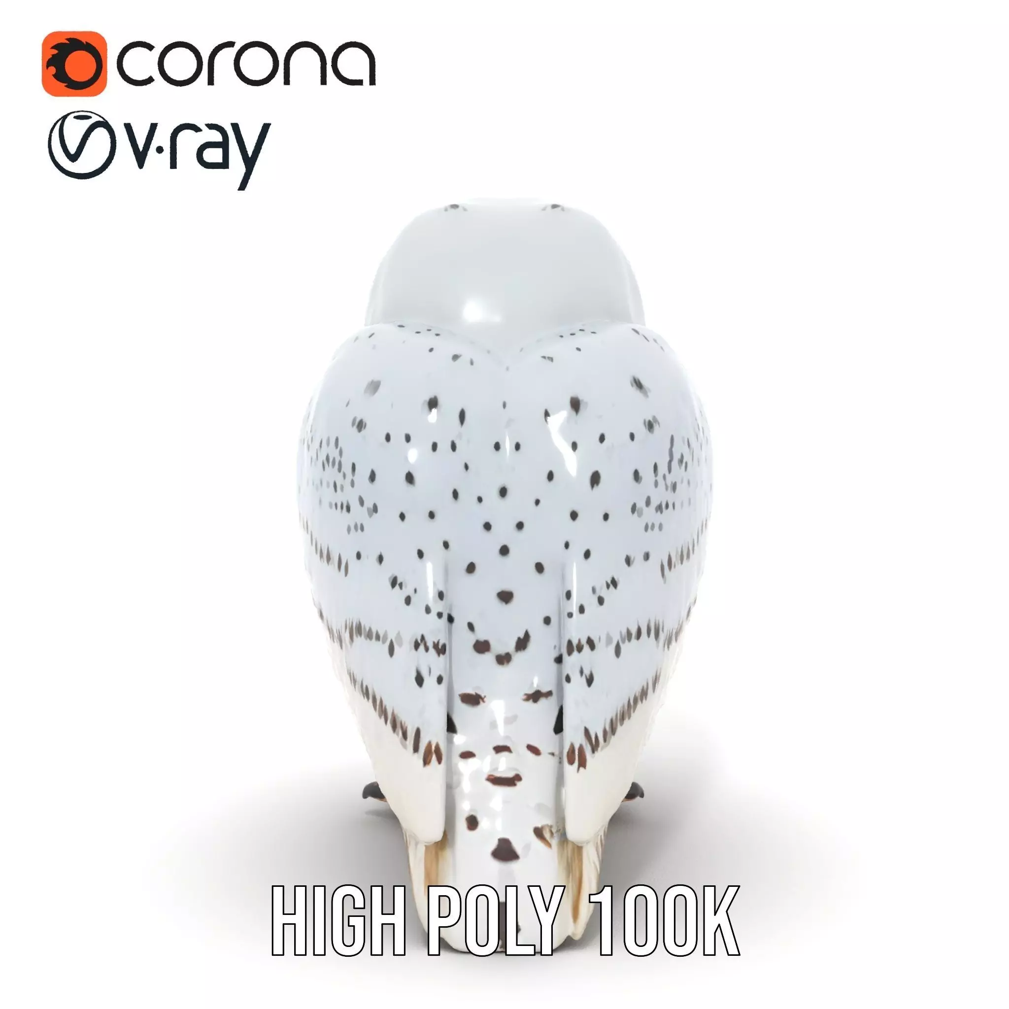 Majestic Snowy Owl model pack Low-poly 3D model_34