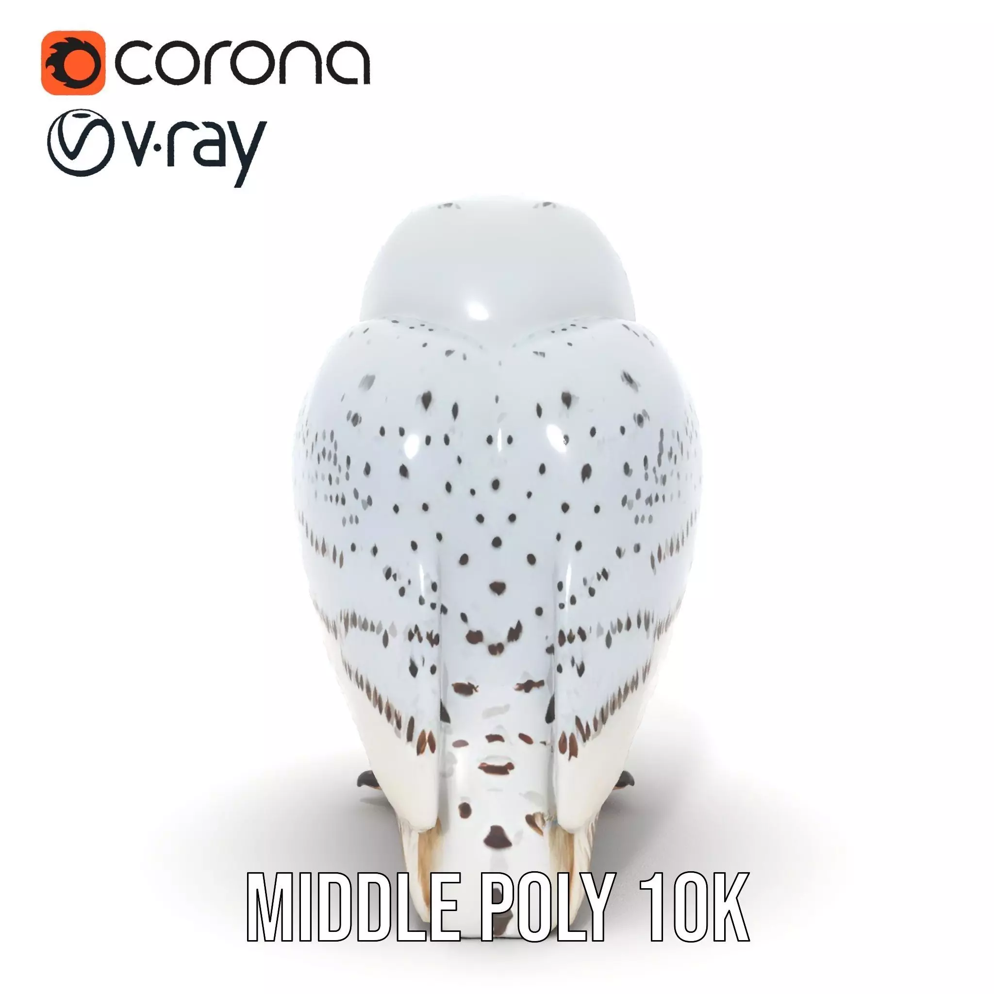 Majestic Snowy Owl model pack Low-poly 3D model_18