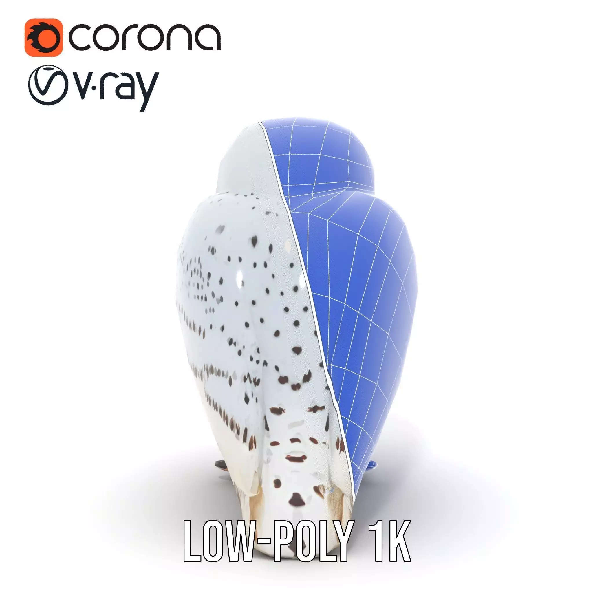 Majestic Snowy Owl model pack Low-poly 3D model_28