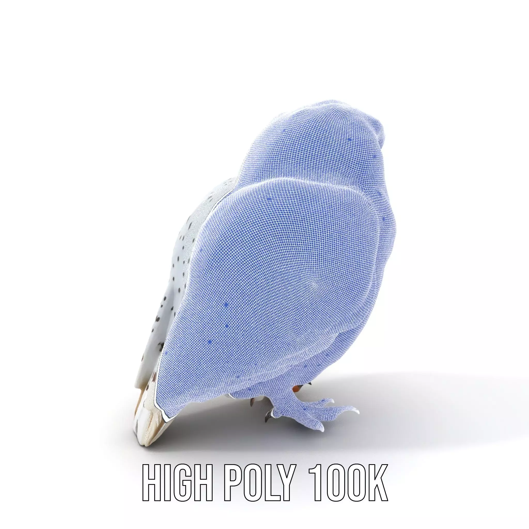 Majestic Snowy Owl model pack Low-poly 3D model_4